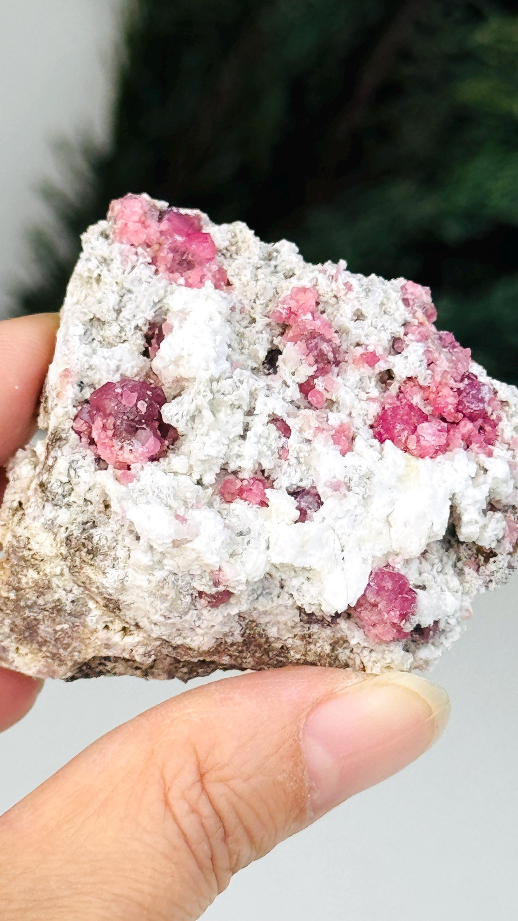 New Find !! Grossular Garnet, Rare Raspberry Pink Garnet Mineral Specimen ~ Coahuila, Mexico -6