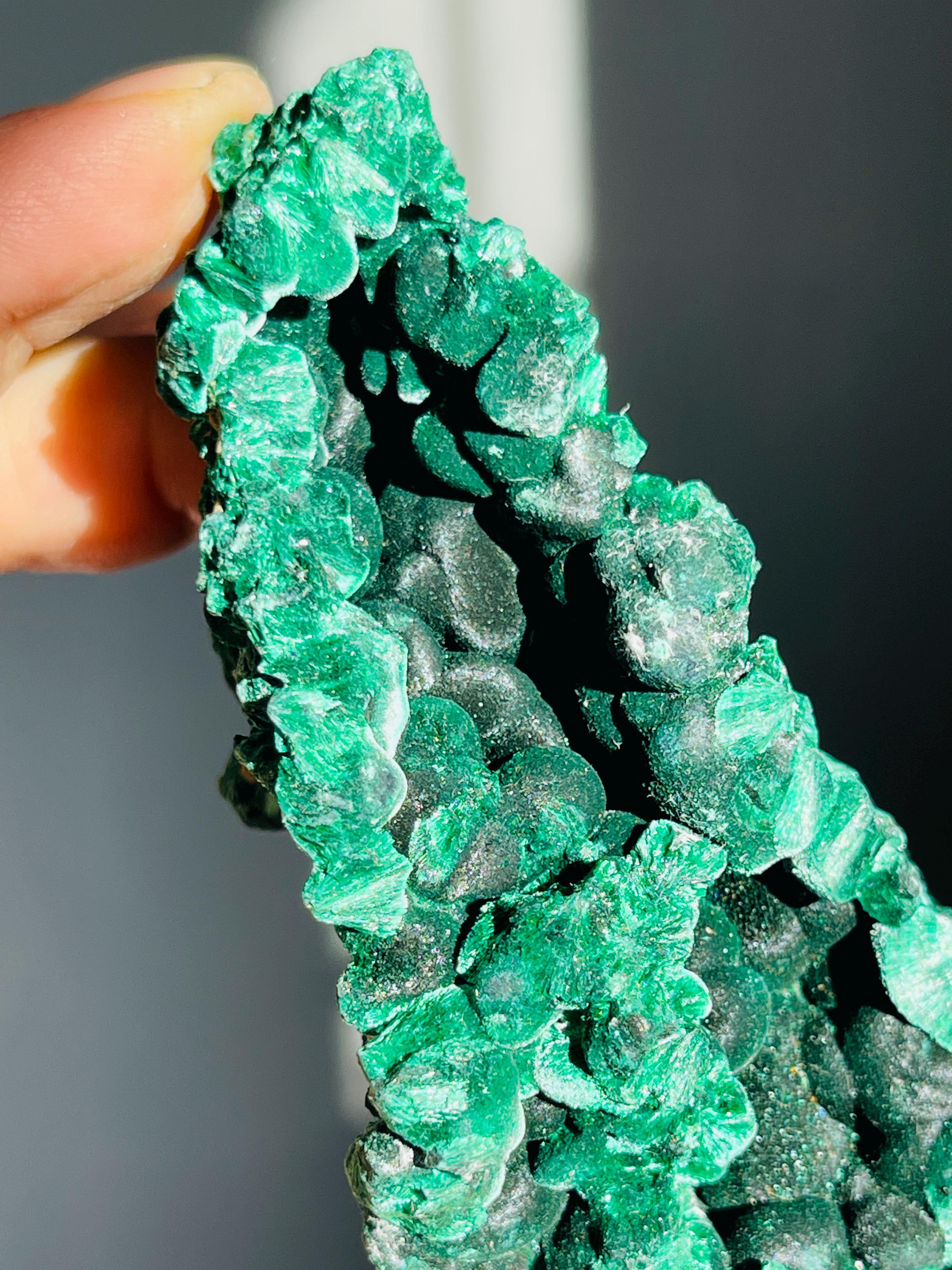 Rare Malachite Specimen,Velvet Malachite, Raw Malachite Crystal, Unique Crystal Gift, Healing Gemstone, Natural Malachite Stone