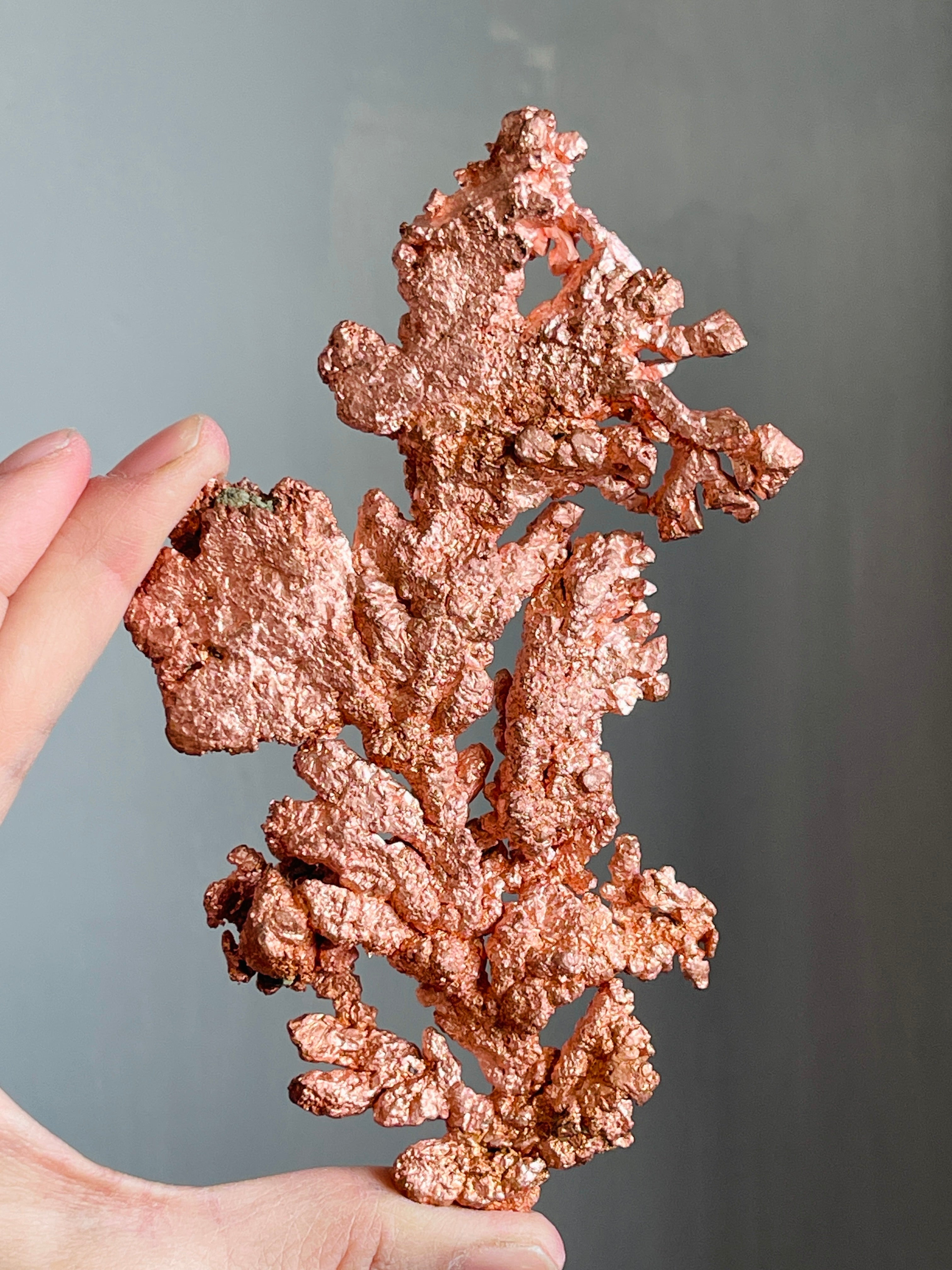 Dendritic native copper tree specimen on neutral background