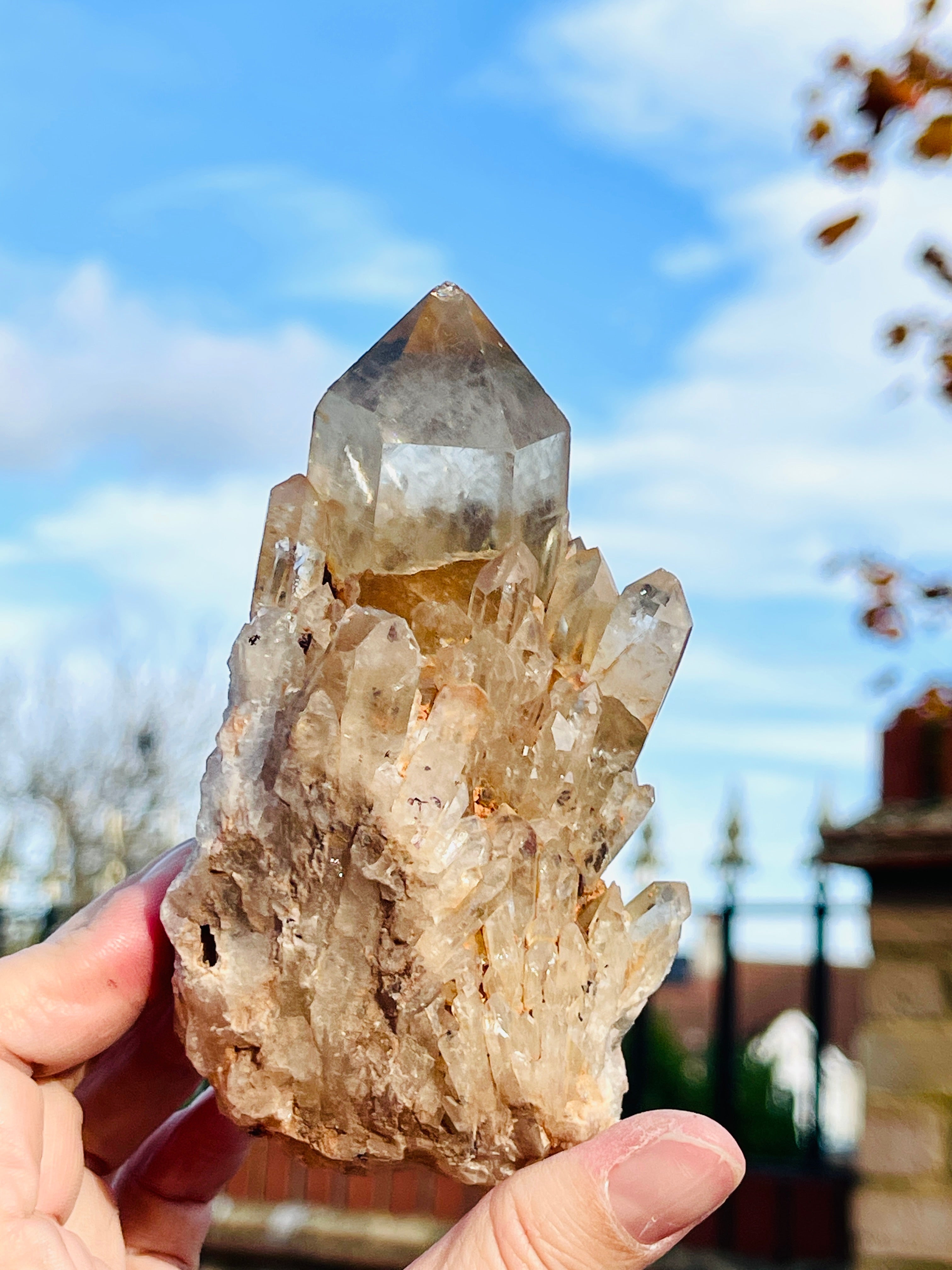 Citrine: Natural Citrine vs Heat-Treated Amethyst — The Complete Collector's Guide