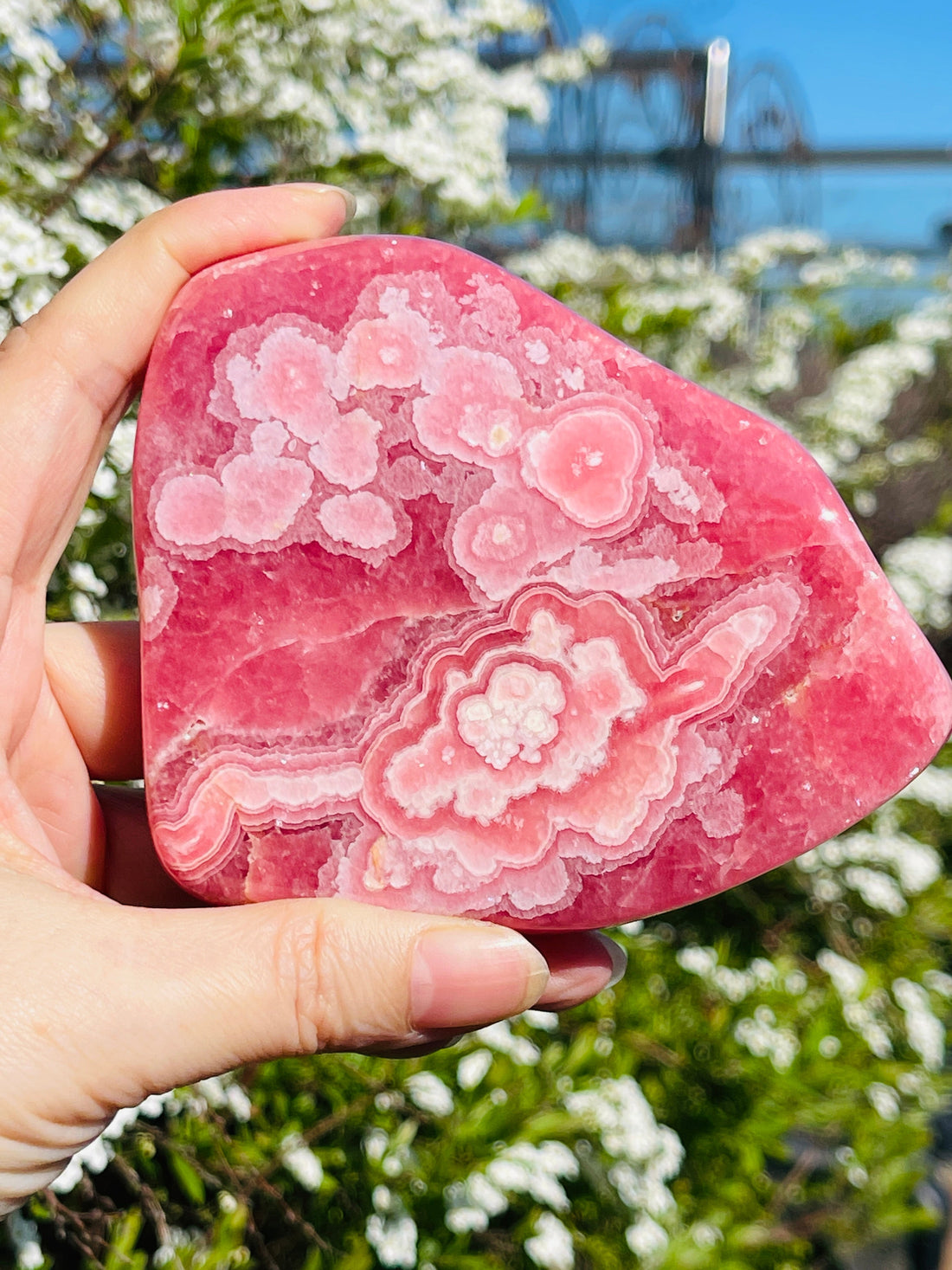 Rhodochrosite: Meaning, Healing Properties, and the Allure of the "Inca Rose" - Million Years Crystal