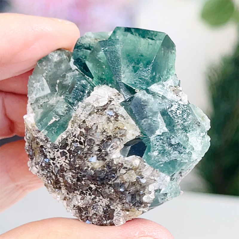 Diana Maria Fluorite vs. Other Popular Fluorite Localities: A Comparison