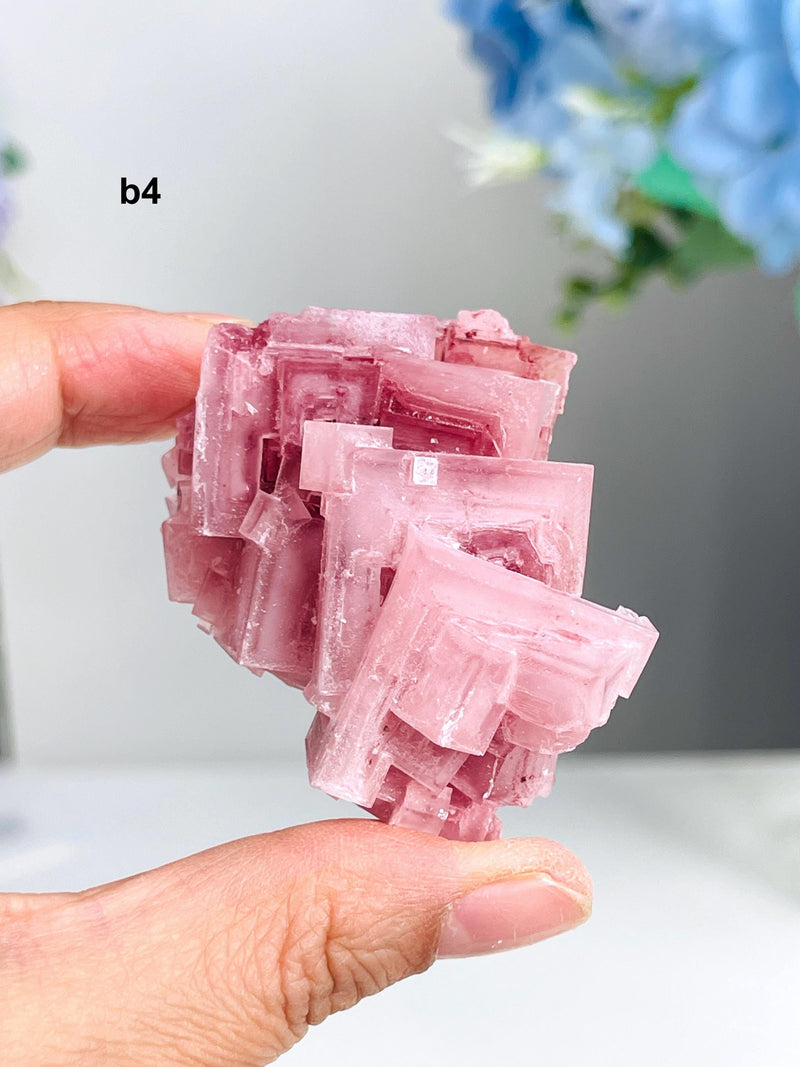Pink Halite