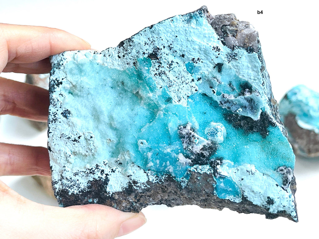 Turquoise blue chysocolla mineral specimen held by a hand on a white background