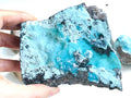 Turquoise blue chysocolla mineral specimen held by a hand on a white background