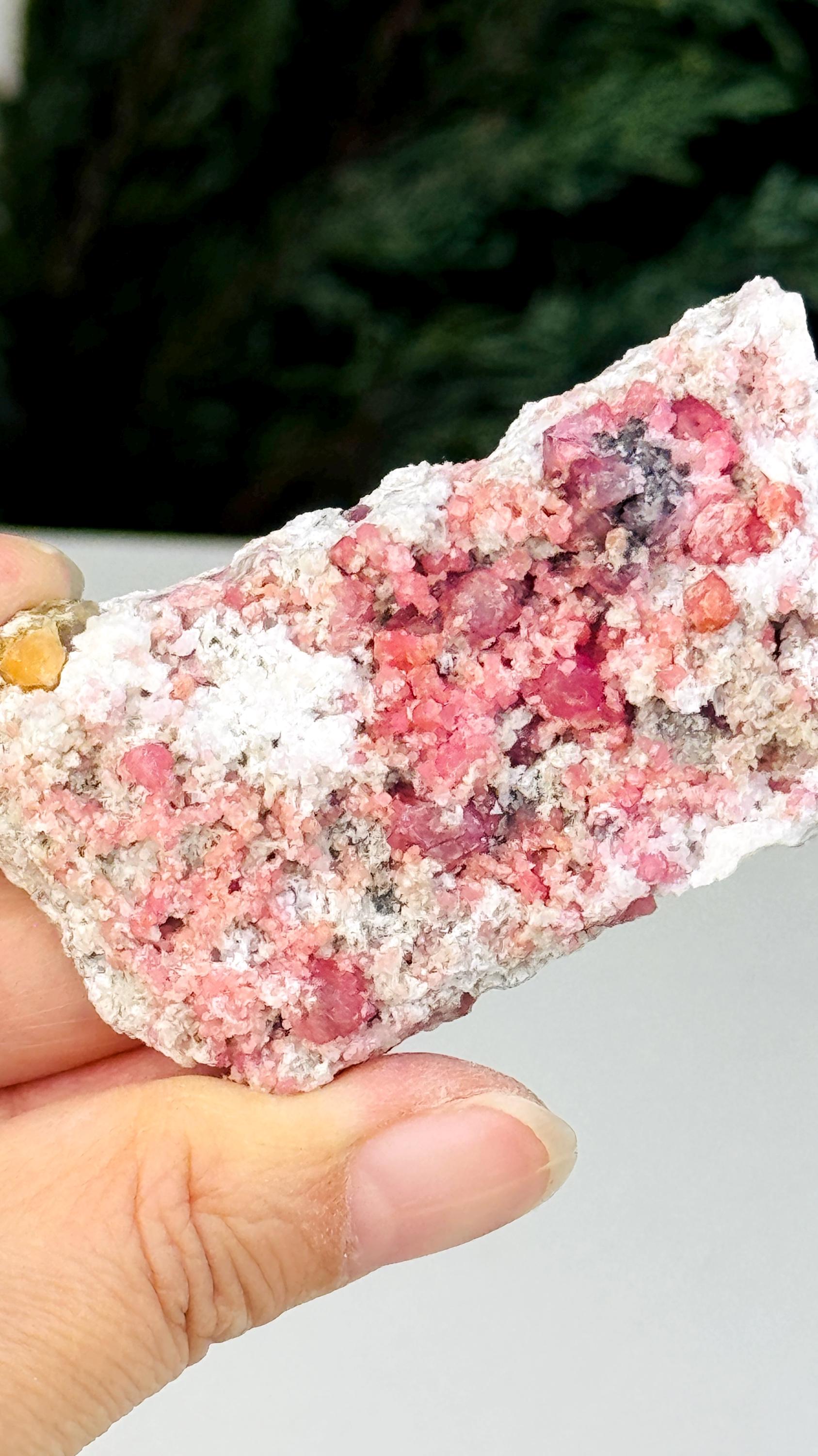 New Find !! Grossular Garnet, Rare Raspberry Pink Garnet Mineral Specimen ~ Coahuila, Mexico -5
