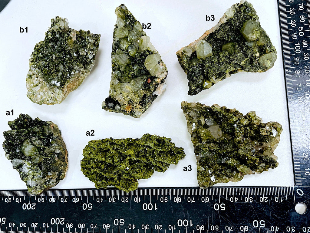 Super Sparkly Forest Epidote with Quartz Specimen, Forest Quartz