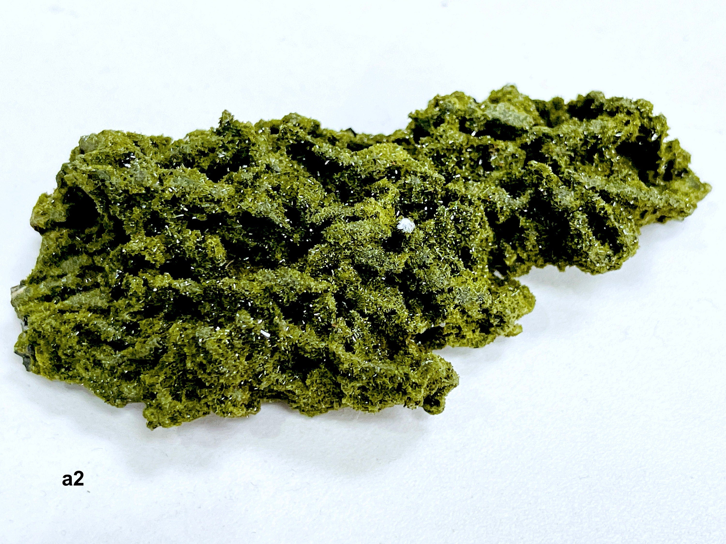 Super Sparkly Forest Epidote with Quartz Specimen, Forest Quartz