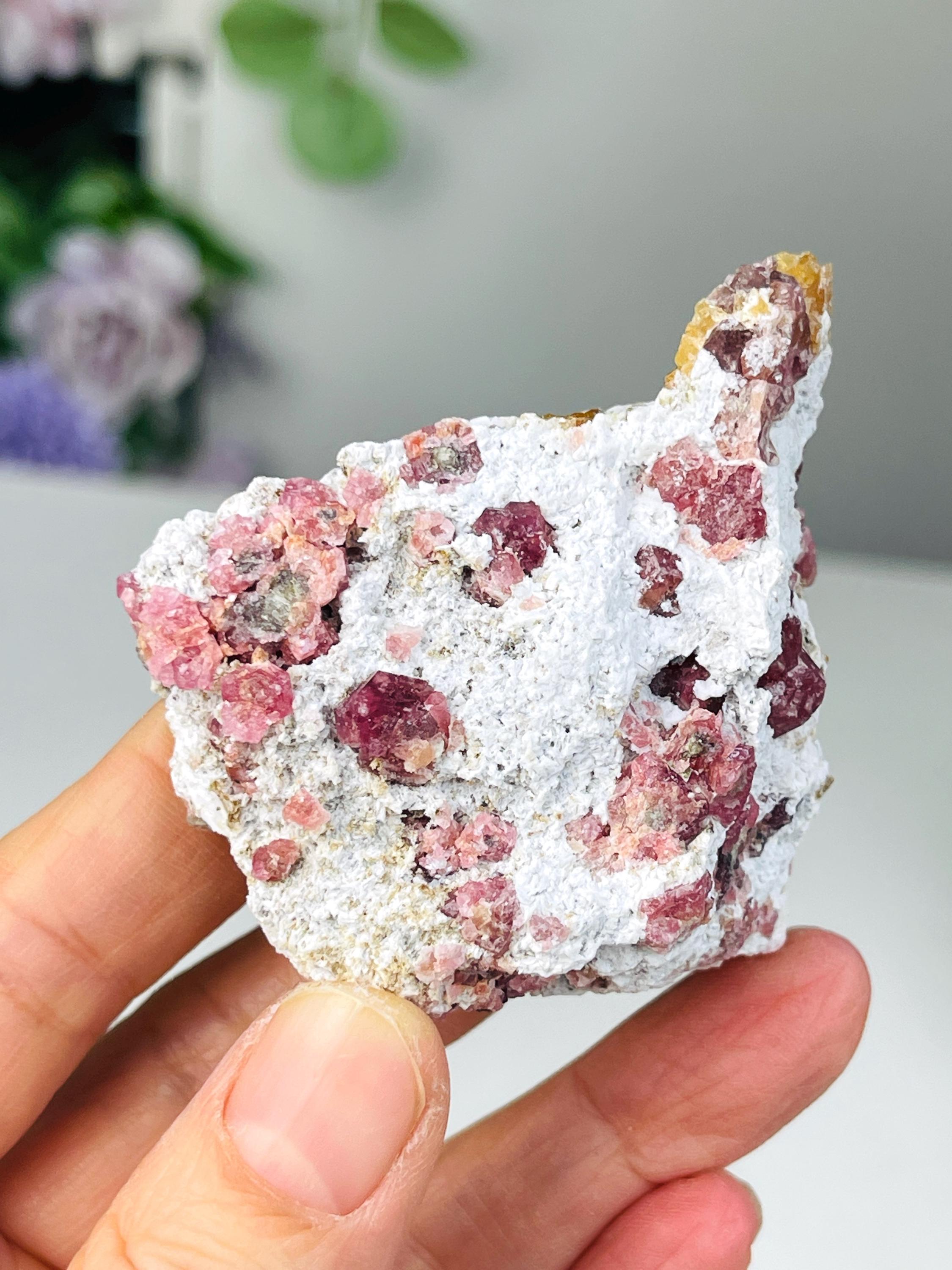 New Find !! Grossular Garnet, Rare Raspberry Pink Garnet Mineral Specimen ~ Coahuila, Mexico - 9
