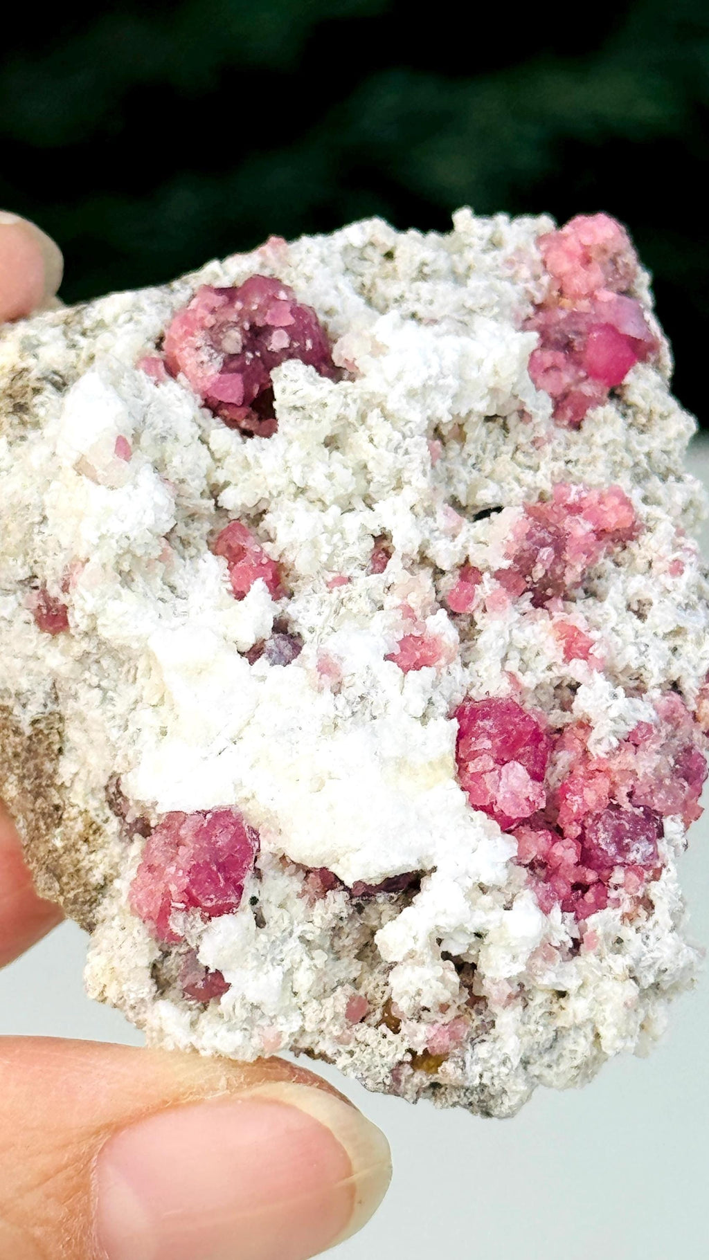 New Find !! Grossular Garnet, Rare Raspberry Pink Garnet Mineral Specimen ~ Coahuila, Mexico -6