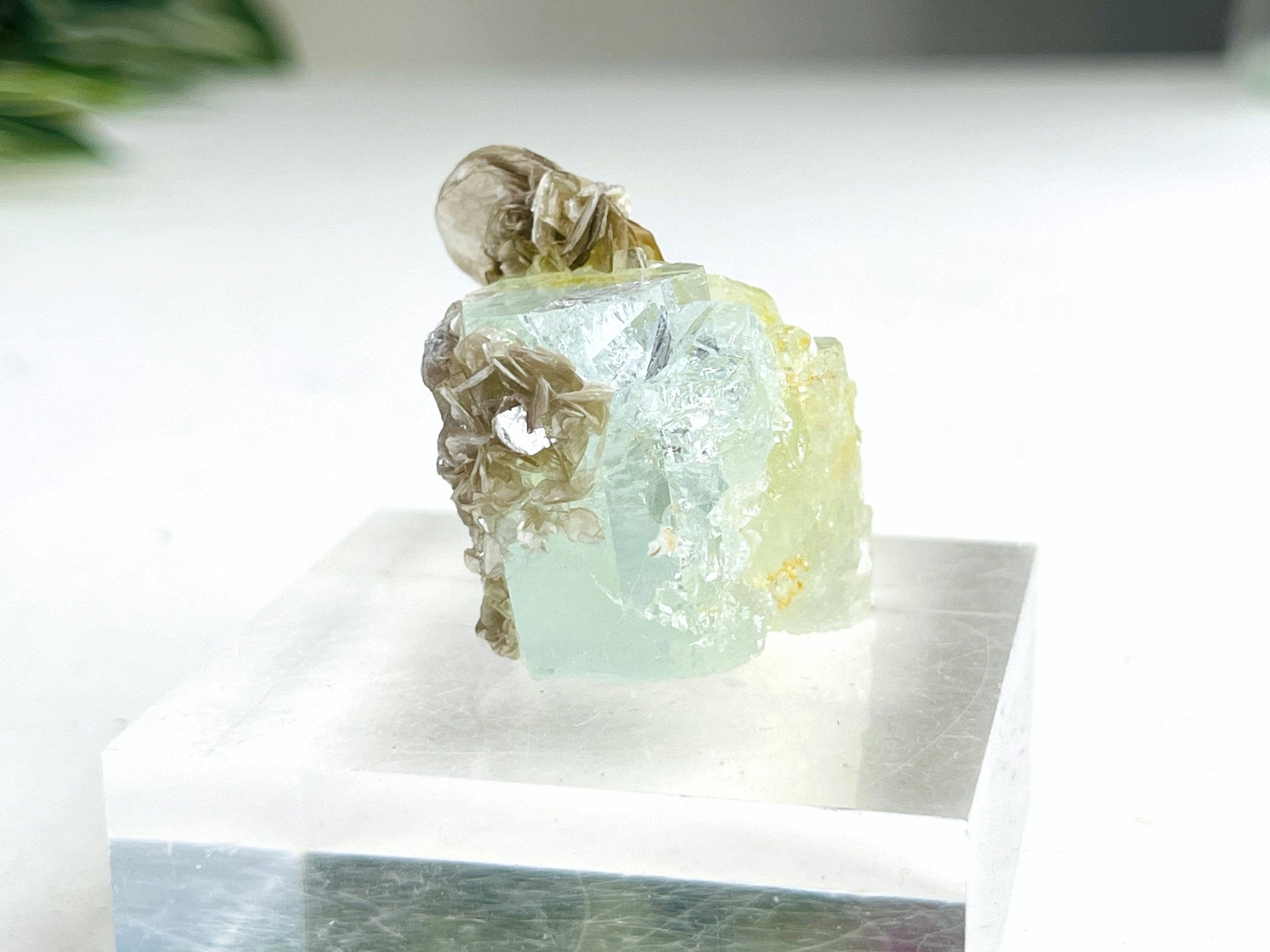 40g Natural Aquamarine Beryl Specimen with Muscovite – Raw Crystal from Skardu, Pakistan - Million Years Crystal