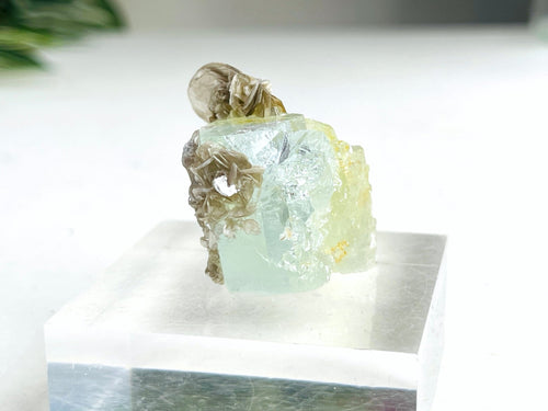 40g Natural Aquamarine Beryl Specimen with Muscovite – Raw Crystal from Skardu, Pakistan - Million Years Crystal