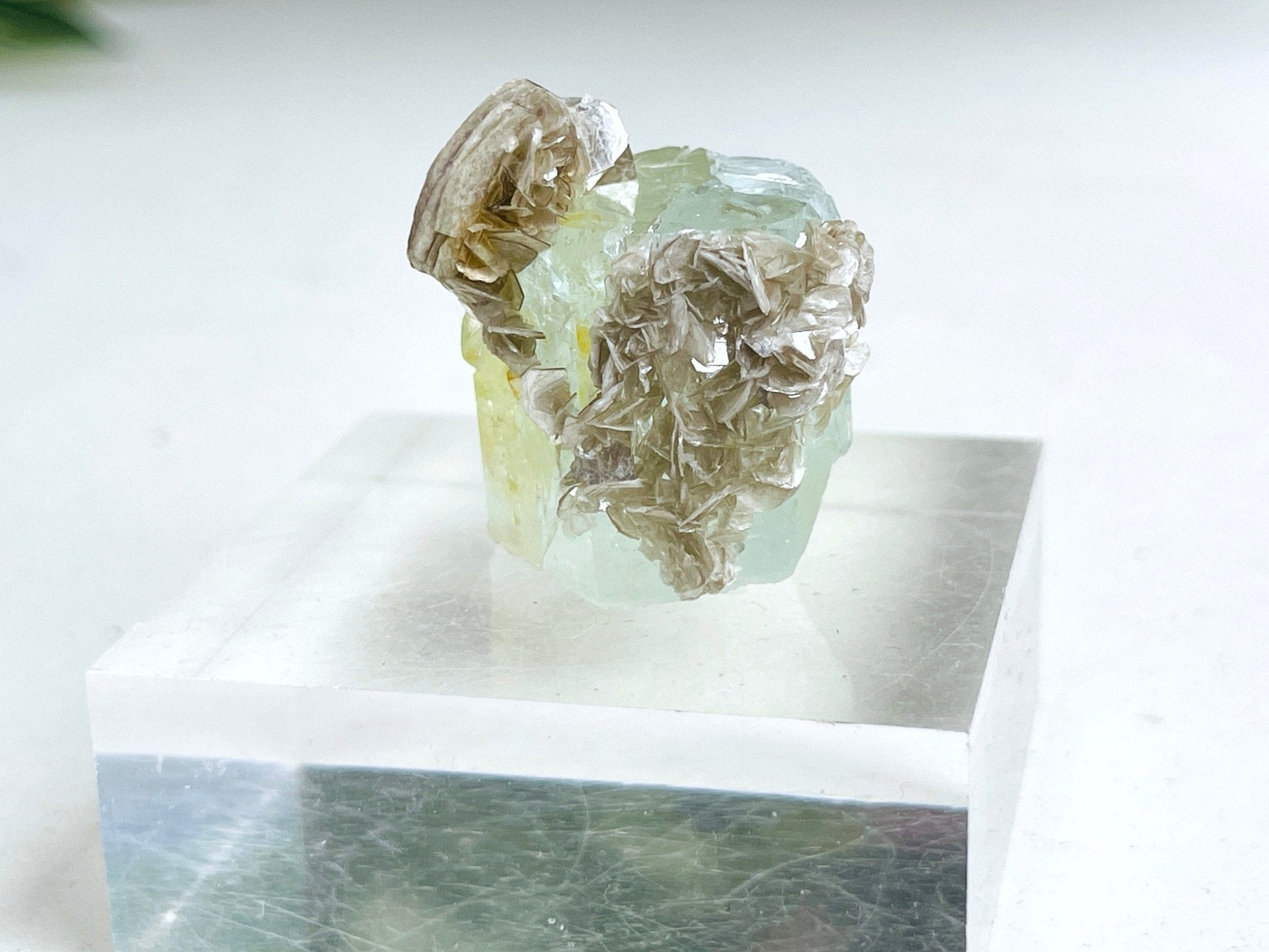 40g Natural Aquamarine Beryl Specimen with Muscovite – Raw Crystal from Skardu, Pakistan - Million Years Crystal