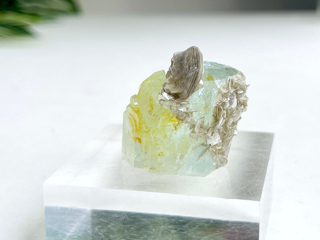 40g Natural Aquamarine Beryl Specimen with Muscovite – Raw Crystal from Skardu, Pakistan - Million Years Crystal