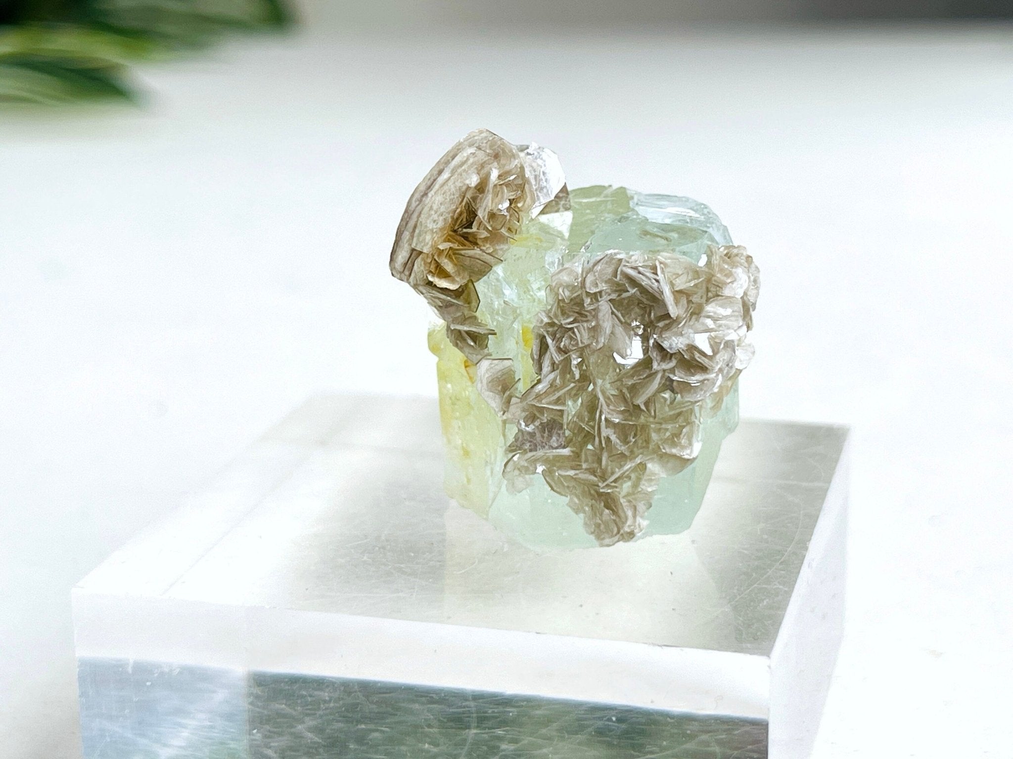 40g Natural Aquamarine Beryl Specimen with Muscovite – Raw Crystal from Skardu, Pakistan - Million Years Crystal