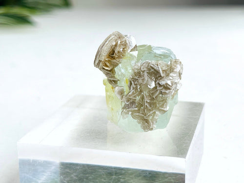 40g Natural Aquamarine Beryl Specimen with Muscovite – Raw Crystal from Skardu, Pakistan - Million Years Crystal
