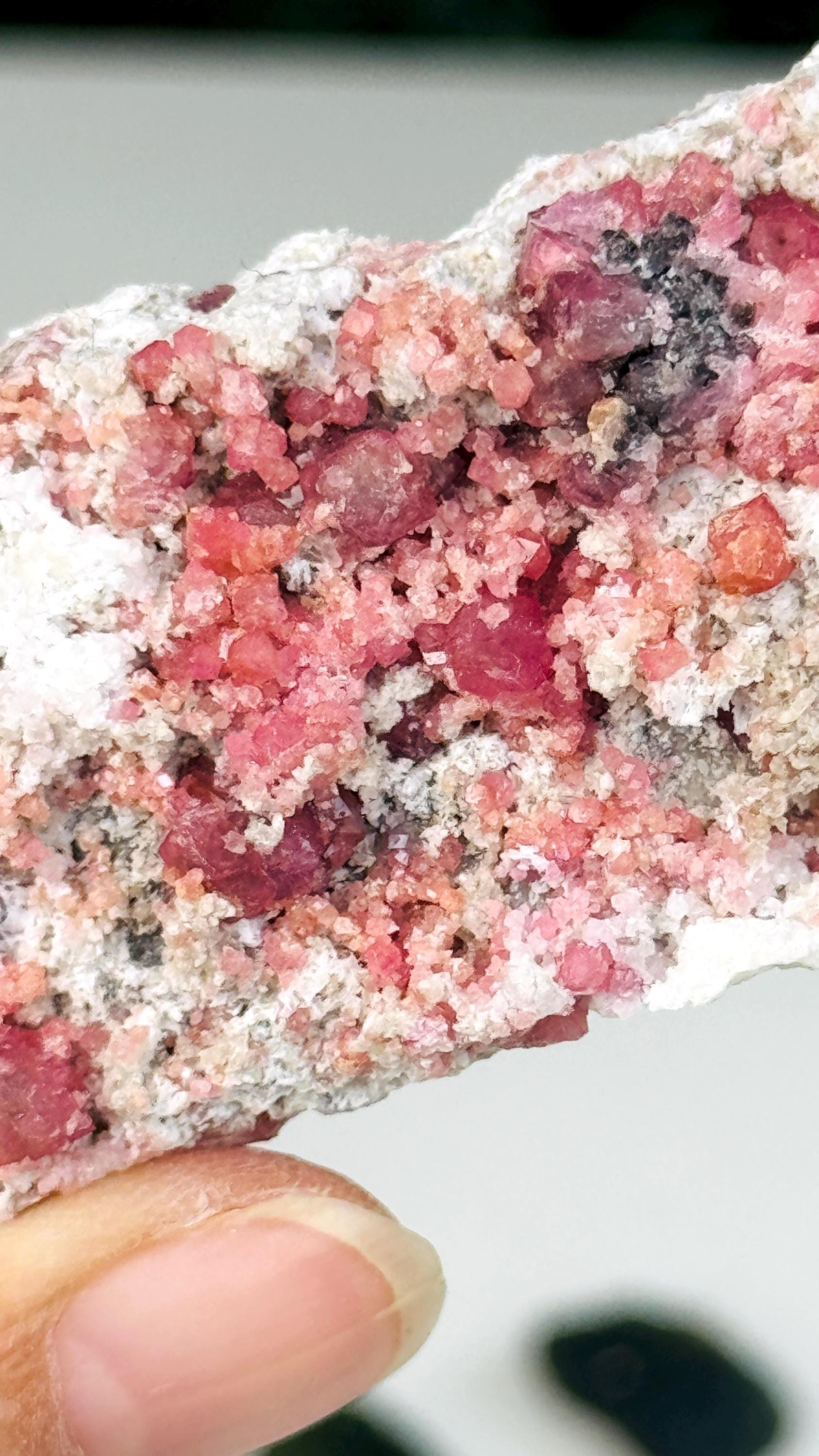 New Find !! Grossular Garnet, Rare Raspberry Pink Garnet Mineral Specimen ~ Coahuila, Mexico -5