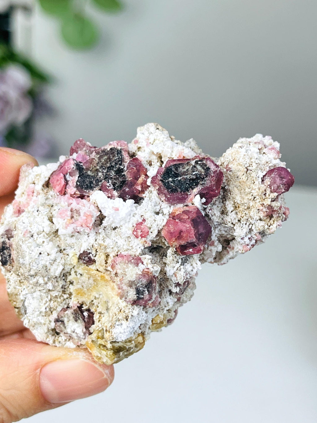 New Find !! Grossular Garnet, Rare Raspberry Pink Garnet Mineral Specimen ~ Coahuila, Mexico - 8