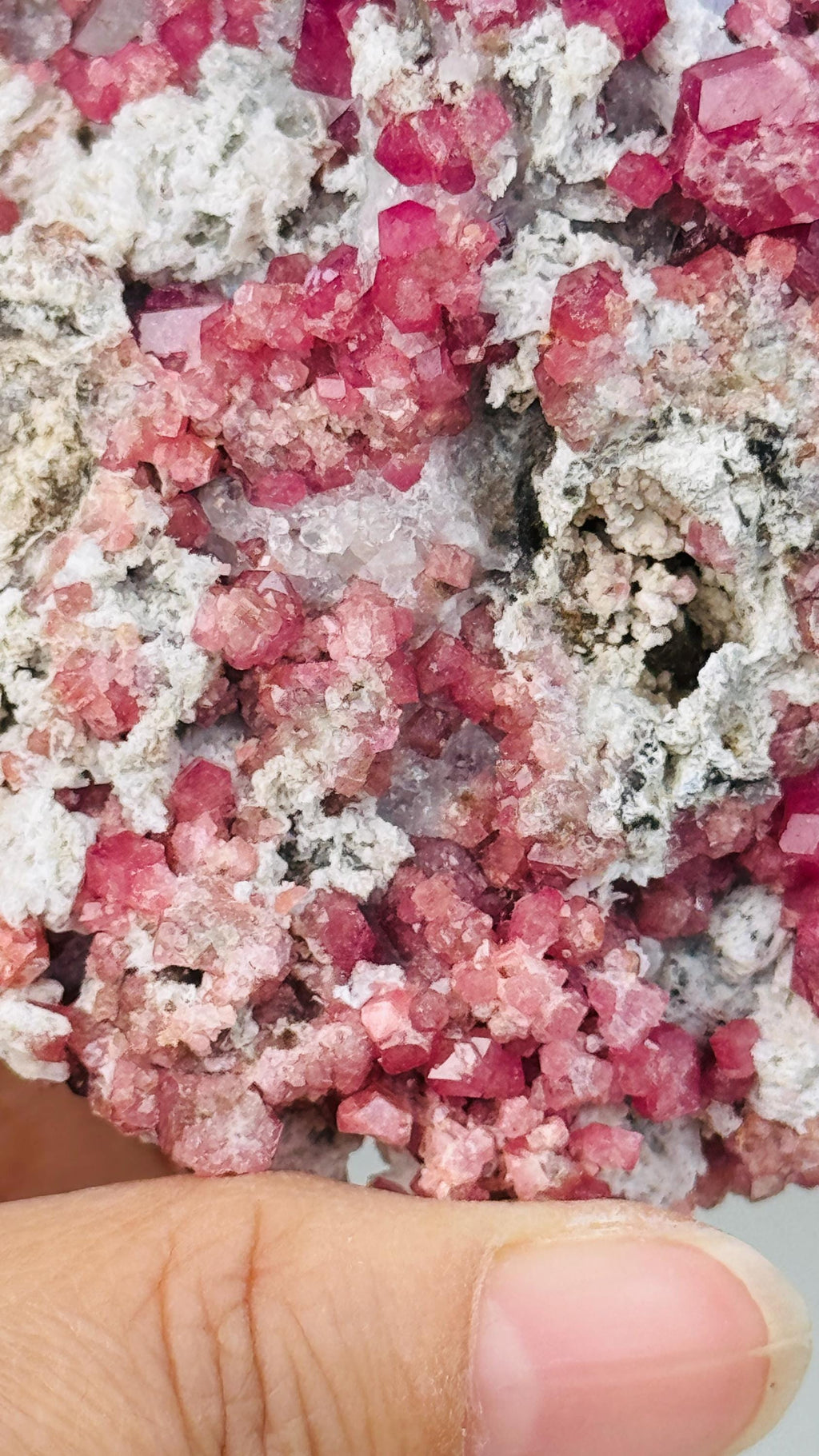 New Find !! Grossular Garnet, Rare Raspberry Pink Garnet Mineral Specimen ~ Coahuila, Mexico -5
