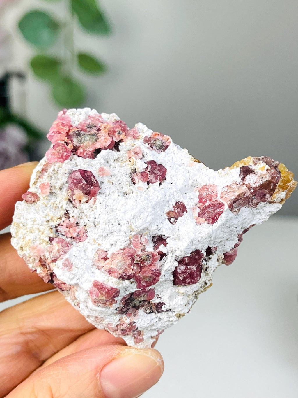 New Find !! Grossular Garnet, Rare Raspberry Pink Garnet Mineral Specimen ~ Coahuila, Mexico - 9