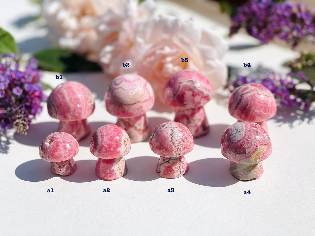 Natural Rhodochrosite Mushroom, AAA Grade Argentina Rhodochrosite Mushroom , 24-84g Rhodochrosite Mushroom, Pink Rhodochrosite