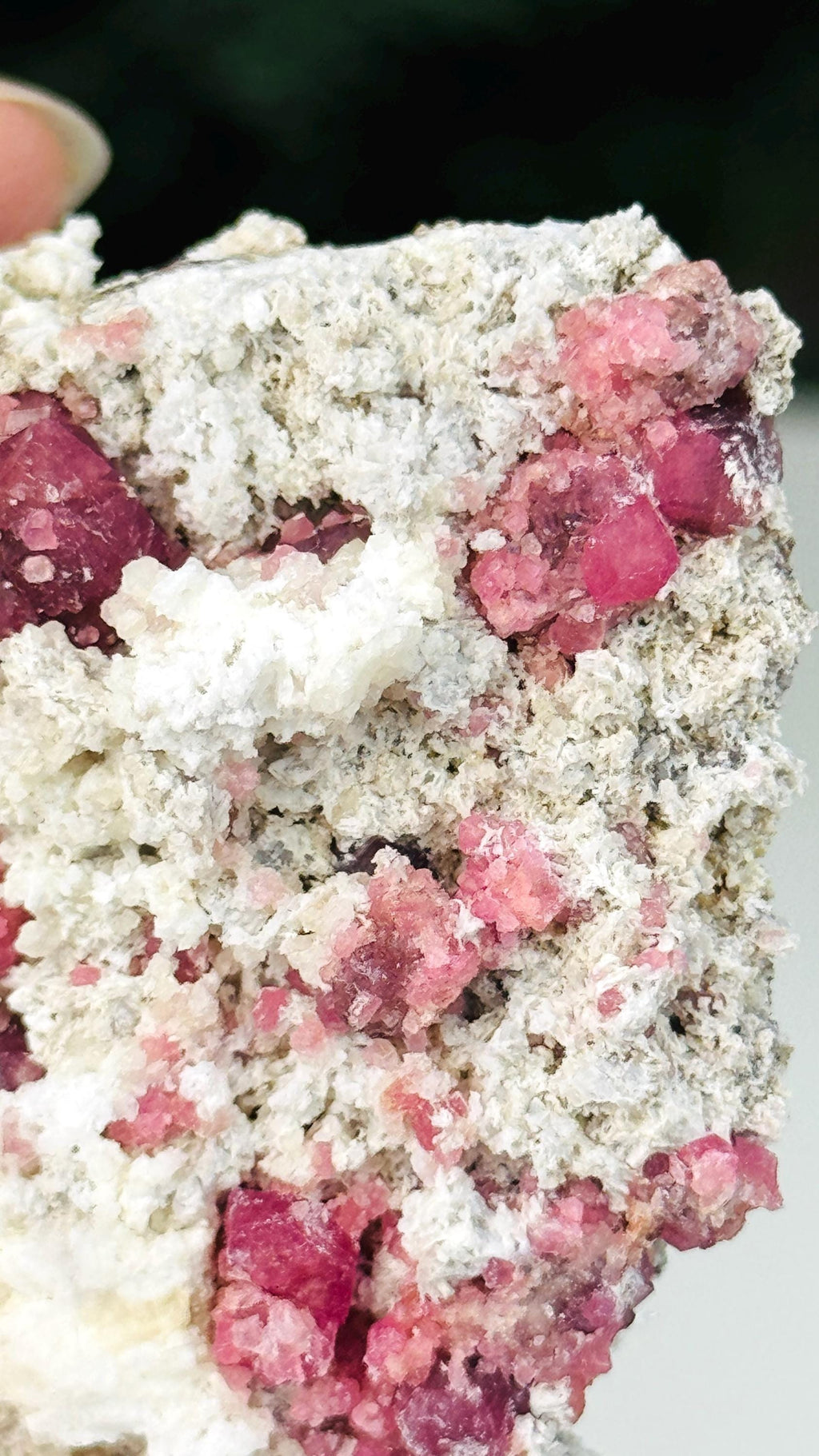 New Find !! Grossular Garnet, Rare Raspberry Pink Garnet Mineral Specimen ~ Coahuila, Mexico -6