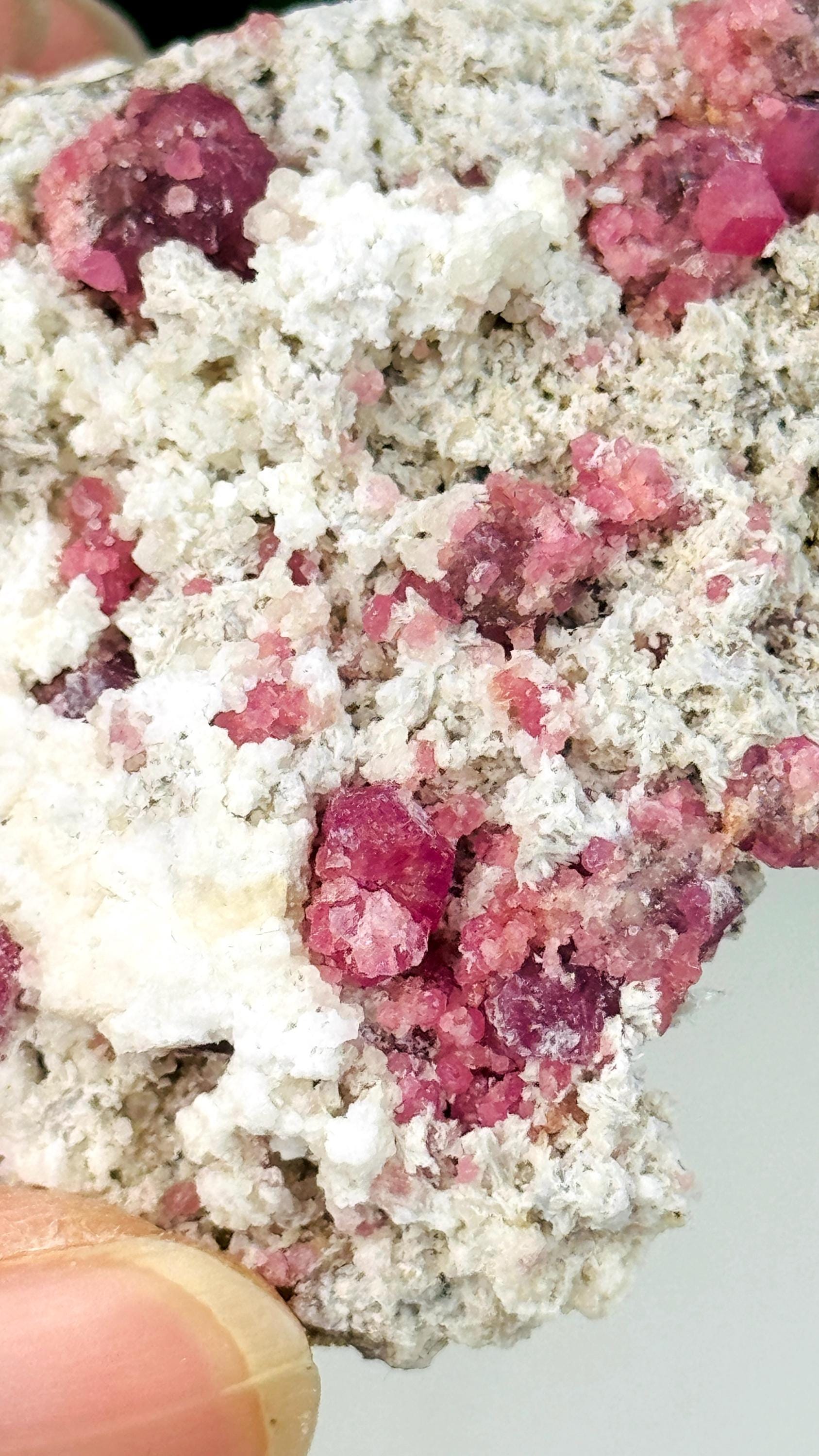 New Find !! Grossular Garnet, Rare Raspberry Pink Garnet Mineral Specimen ~ Coahuila, Mexico -6