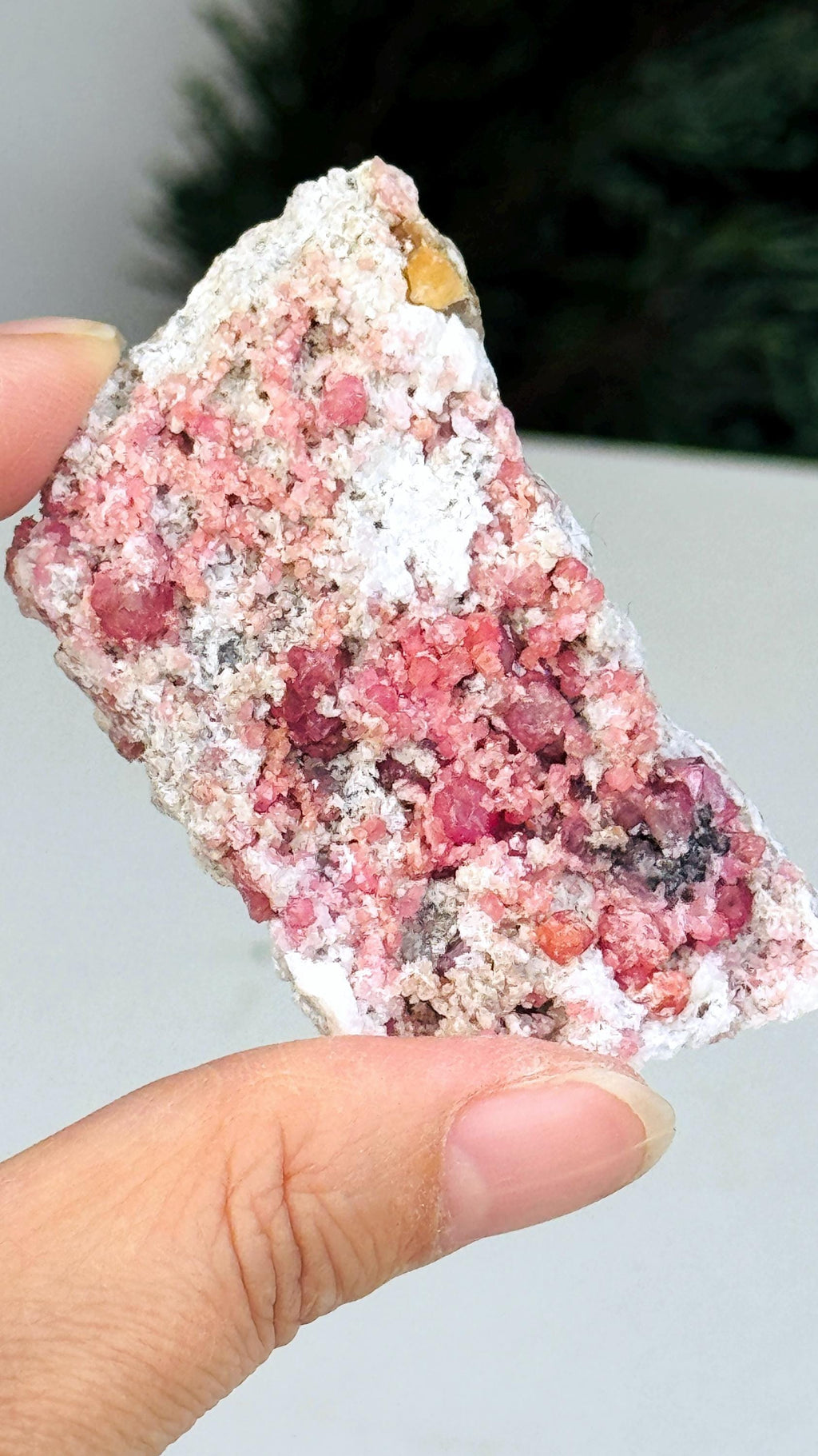 New Find !! Grossular Garnet, Rare Raspberry Pink Garnet Mineral Specimen ~ Coahuila, Mexico -5