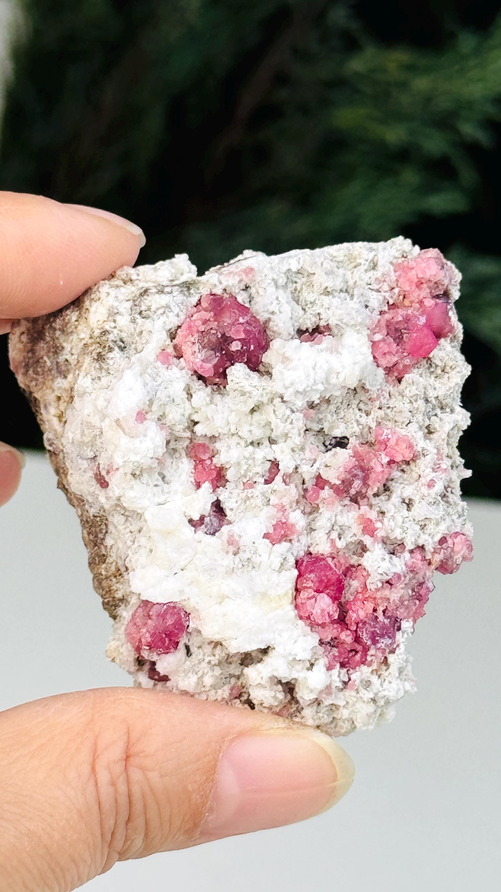 New Find !! Grossular Garnet, Rare Raspberry Pink Garnet Mineral Specimen ~ Coahuila, Mexico -6