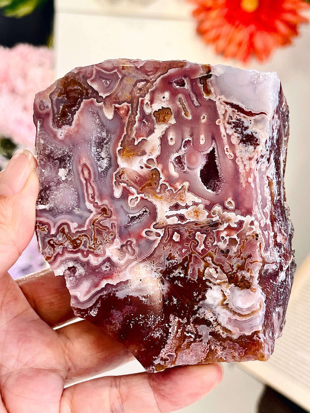 Agua Nueva Agate Specimen — Rancho Agua Nueva, Chihuahua, Mexico | 379g