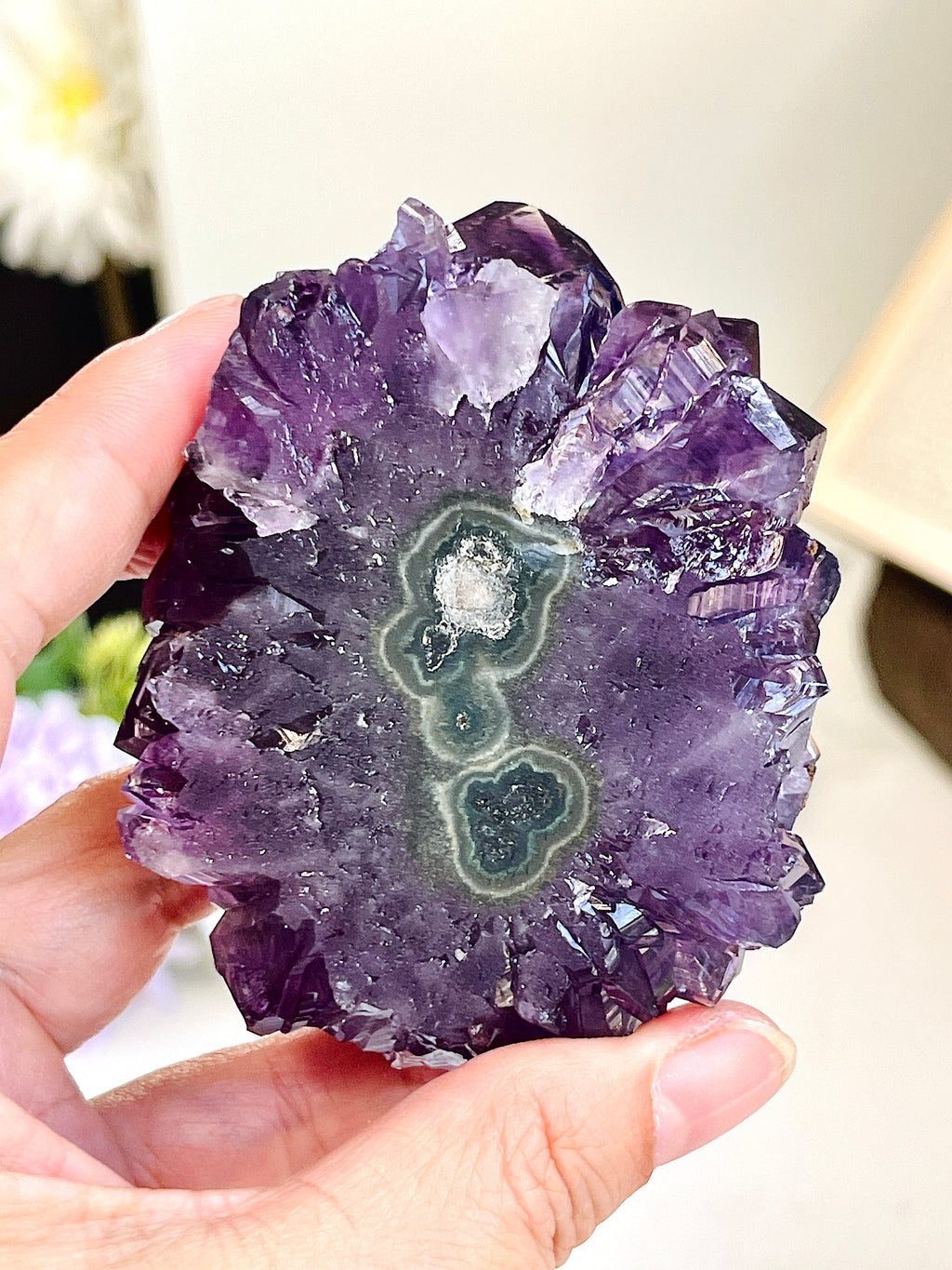 AAAAA+ Uruguay Amethyst Rosette – 190g Grape Jelly Deep Purple Flower Specimen