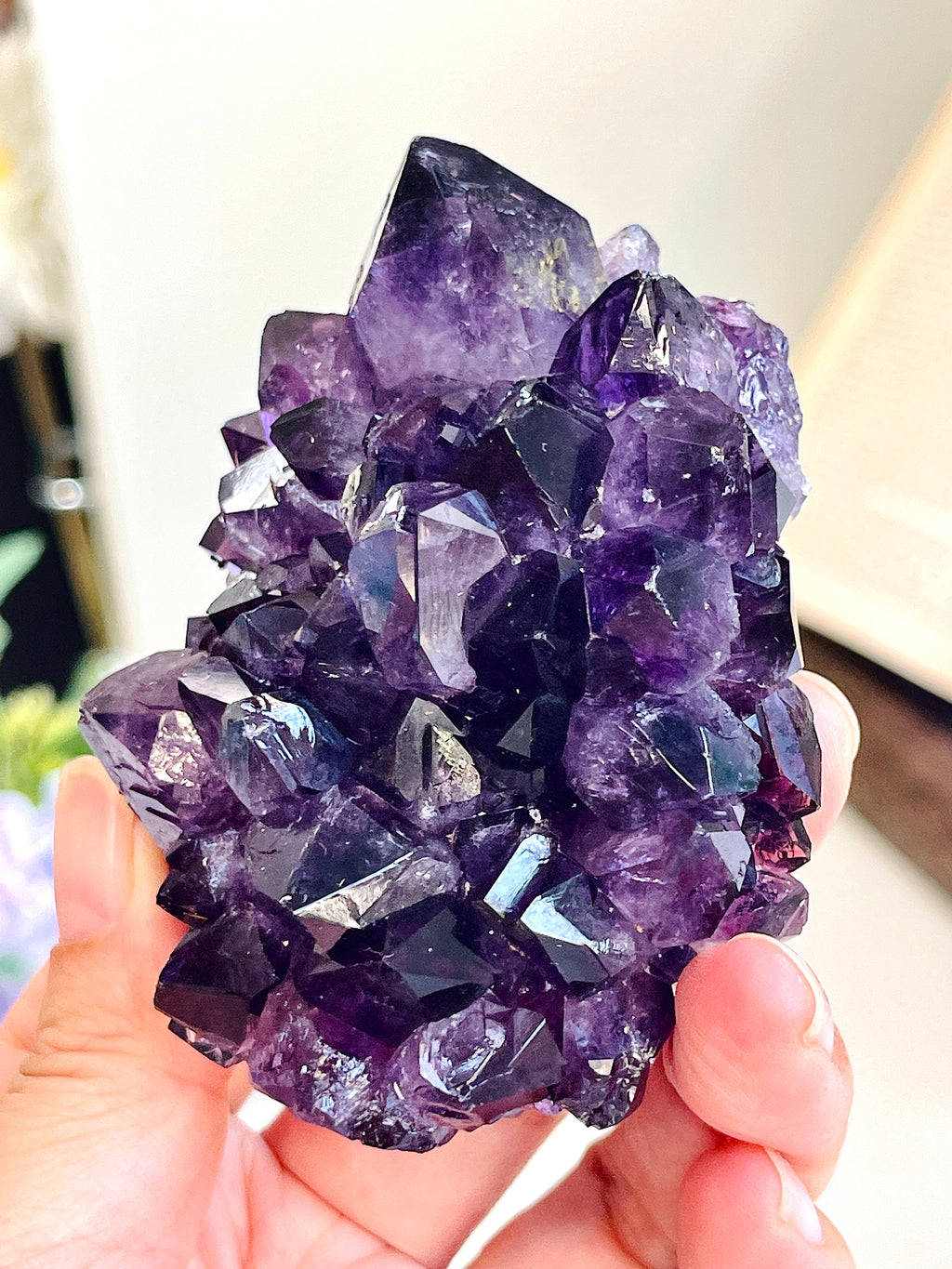 AAAAA+ Uruguay Amethyst Rosette – 190g Grape Jelly Deep Purple Flower Specimen