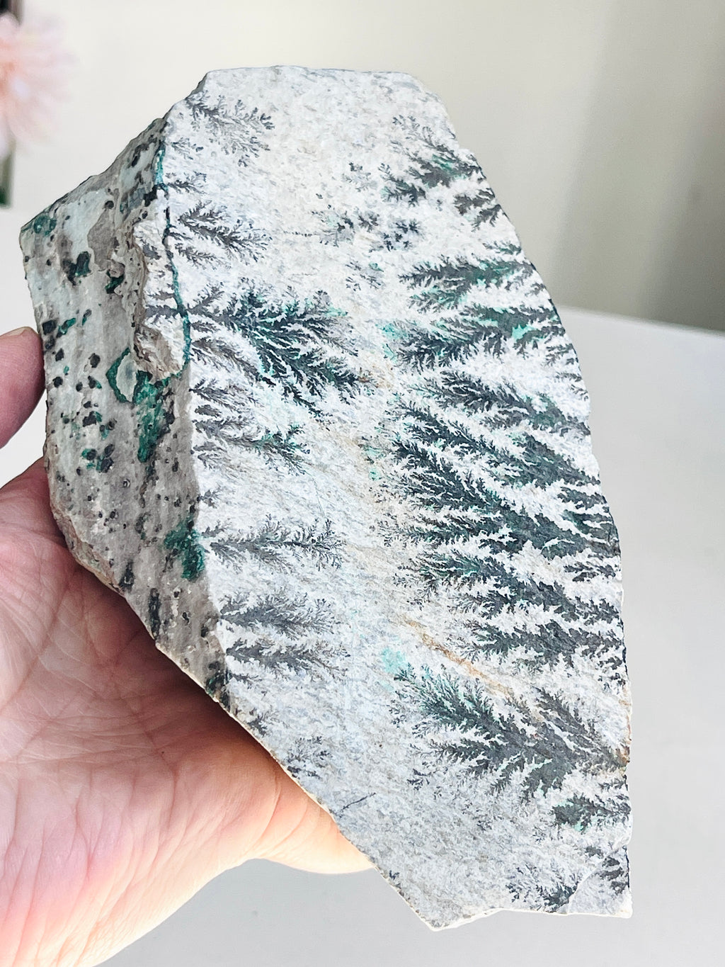 Rare Dentritic Chrysocollla