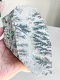 Rare Dentritic Chrysocollla