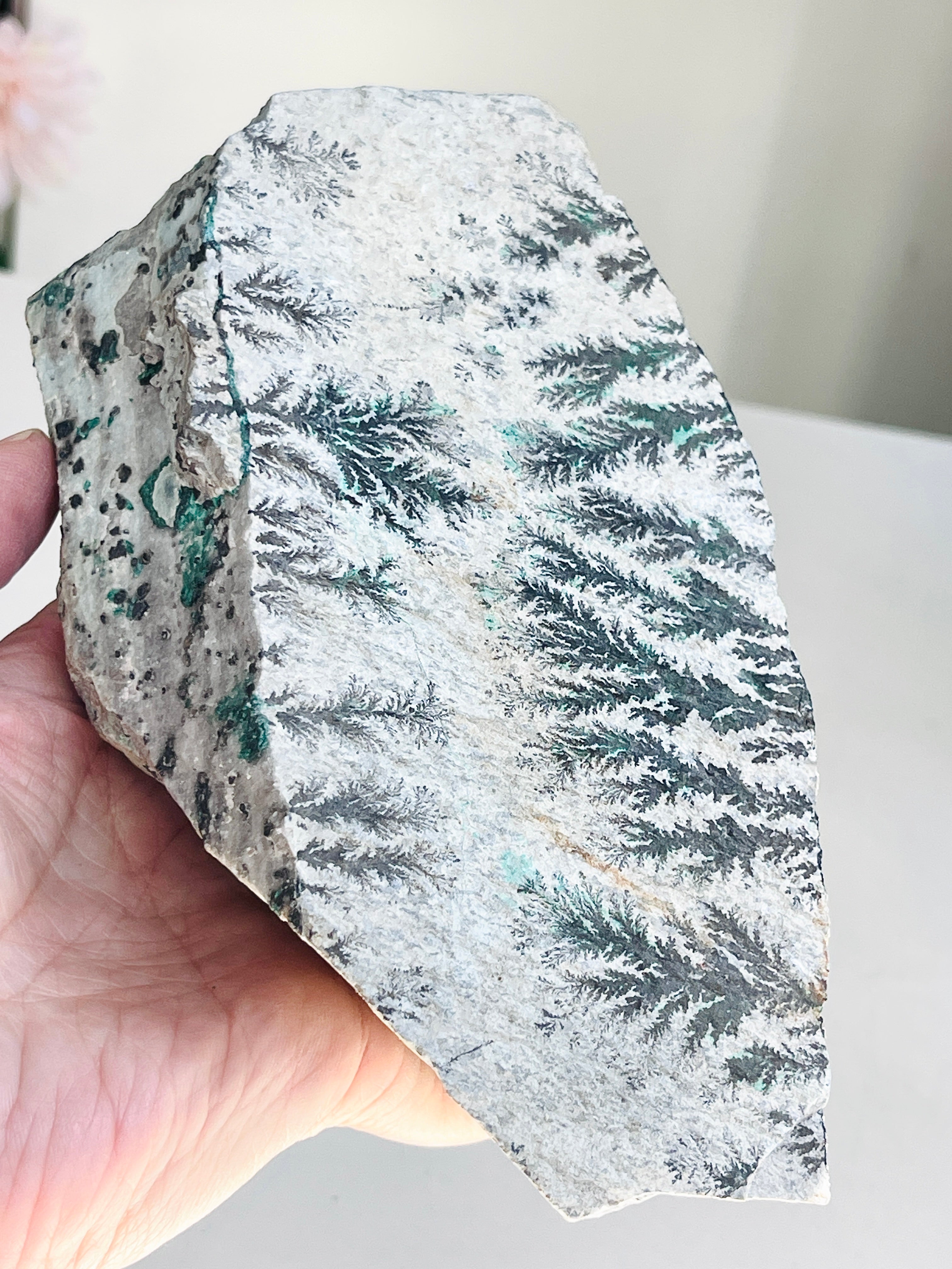 Rare Dentritic Chrysocollla