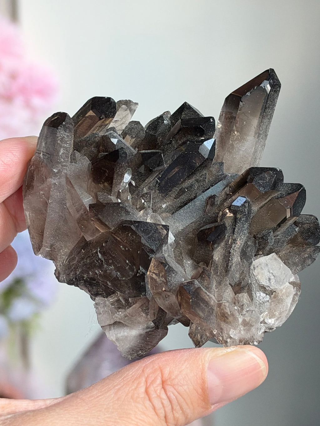 Brazilian Smoky Quartz Cluster | Exact Mineral Specimen