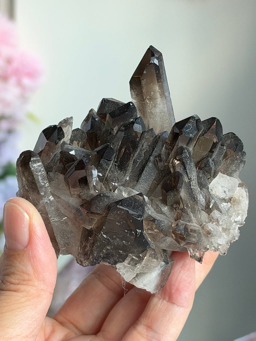 Brazilian Smoky Quartz Cluster | Exact Mineral Specimen