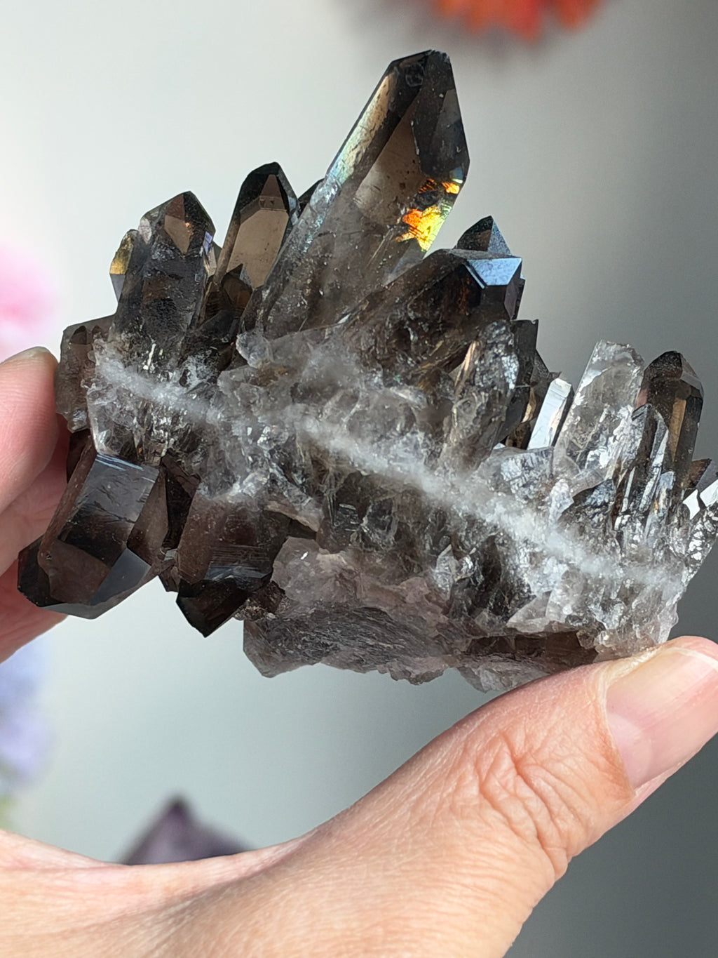 Brazilian Smoky Quartz Cluster | Exact Mineral Specimen