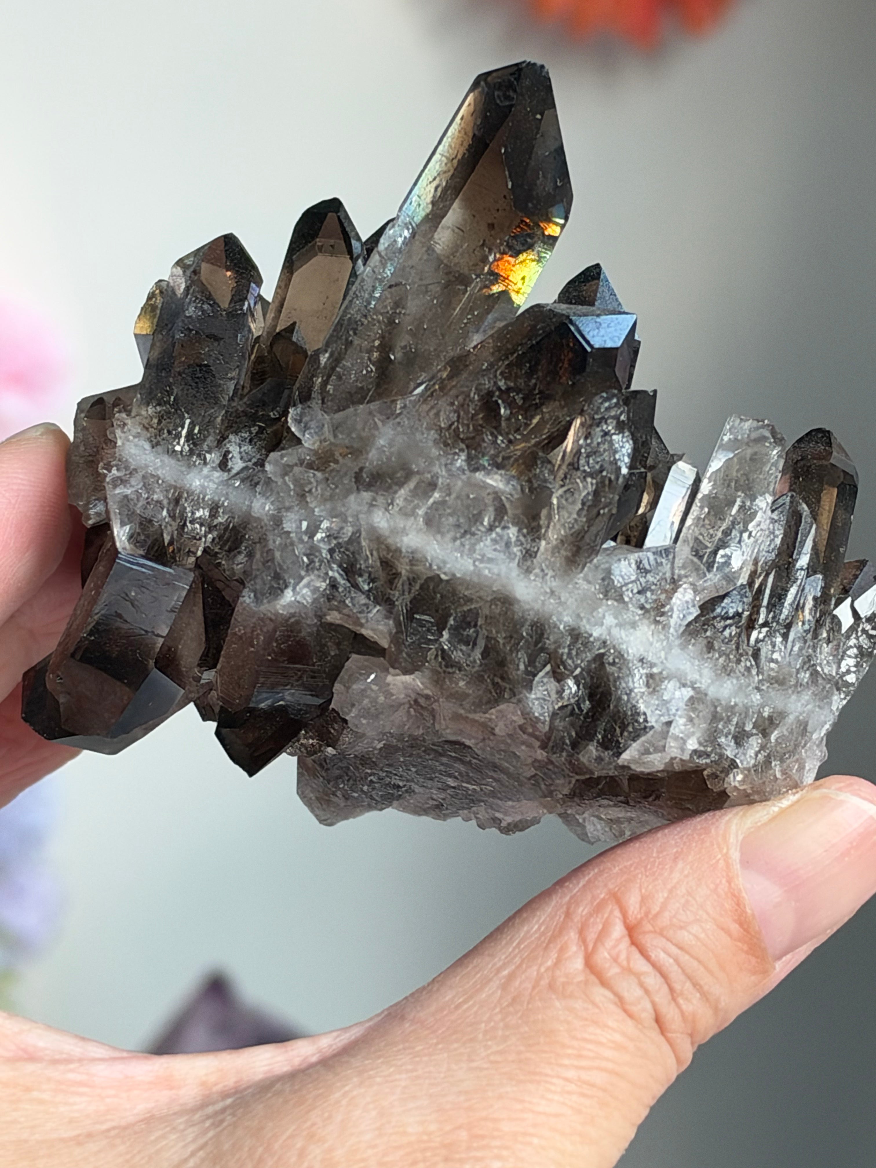 Brazilian Smoky Quartz Cluster | Exact Mineral Specimen