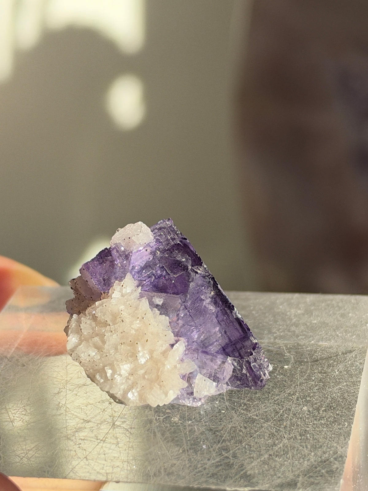 A natural fluorite crystal cluster with a white quartz matrix, resting on a polished silver metal block.