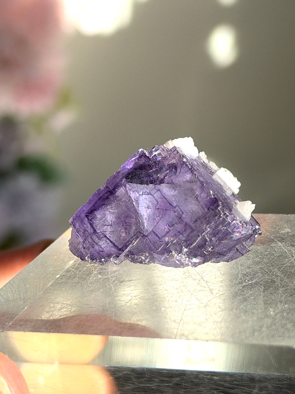 A raw purple fluorite crystal cluster with white quartz points, resting on a clear acrylic display block.