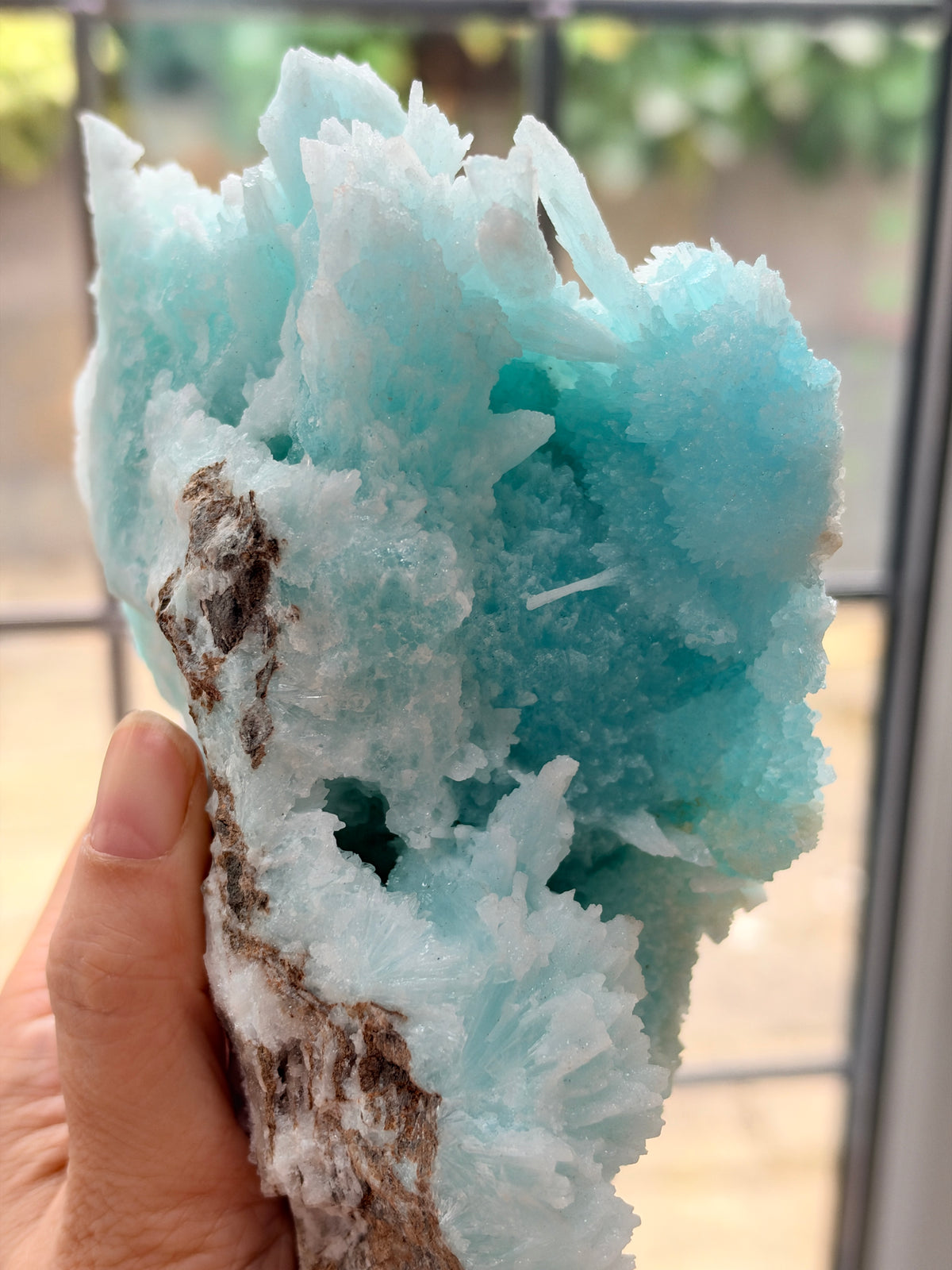 Rare Blue Aragonite Mineral Specimen: Needle Crystals, Wenshan China