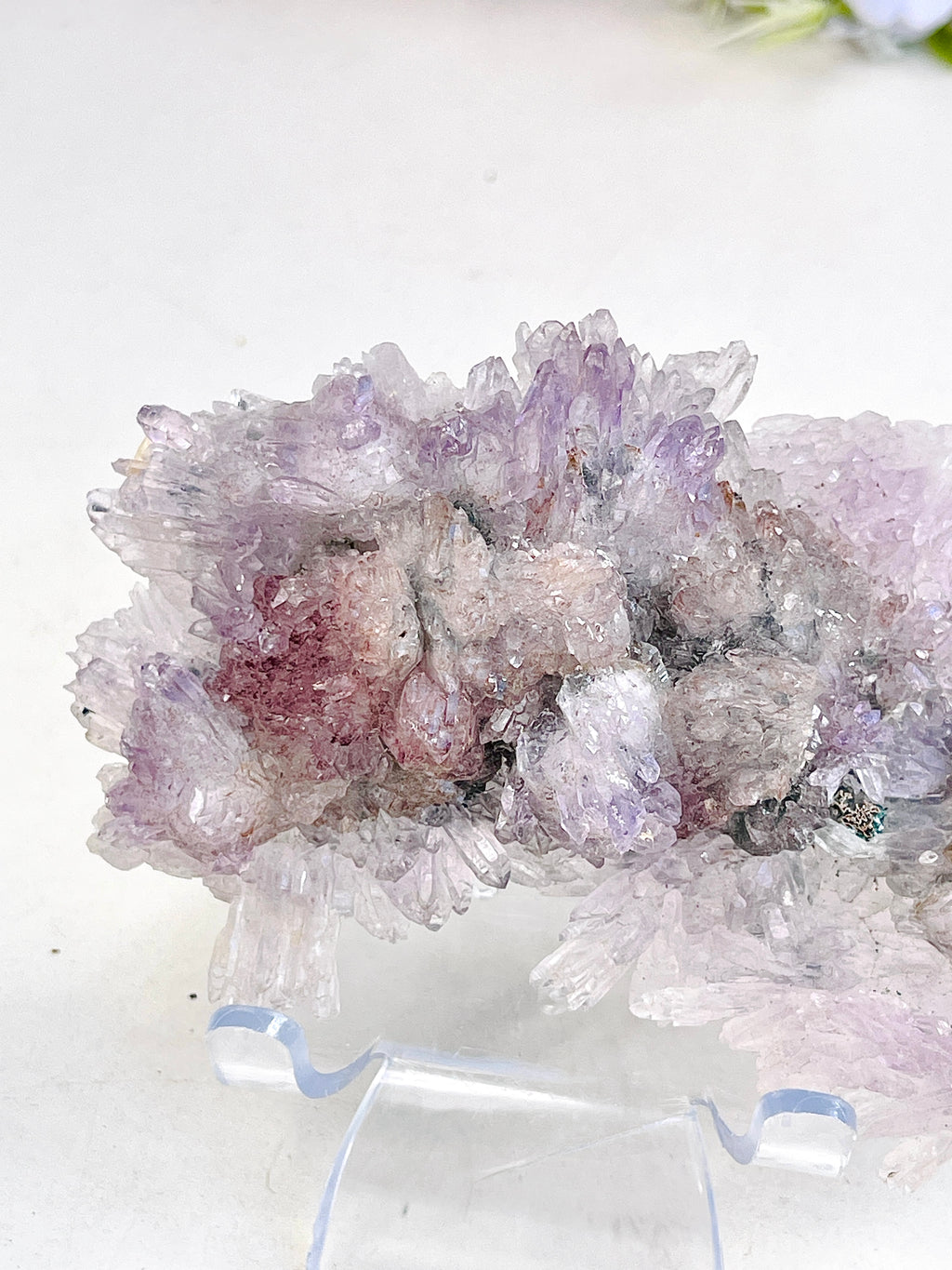 Rare Intact Amethyst "Flower" Formation | Delicate Brazilian Mineral Specimen