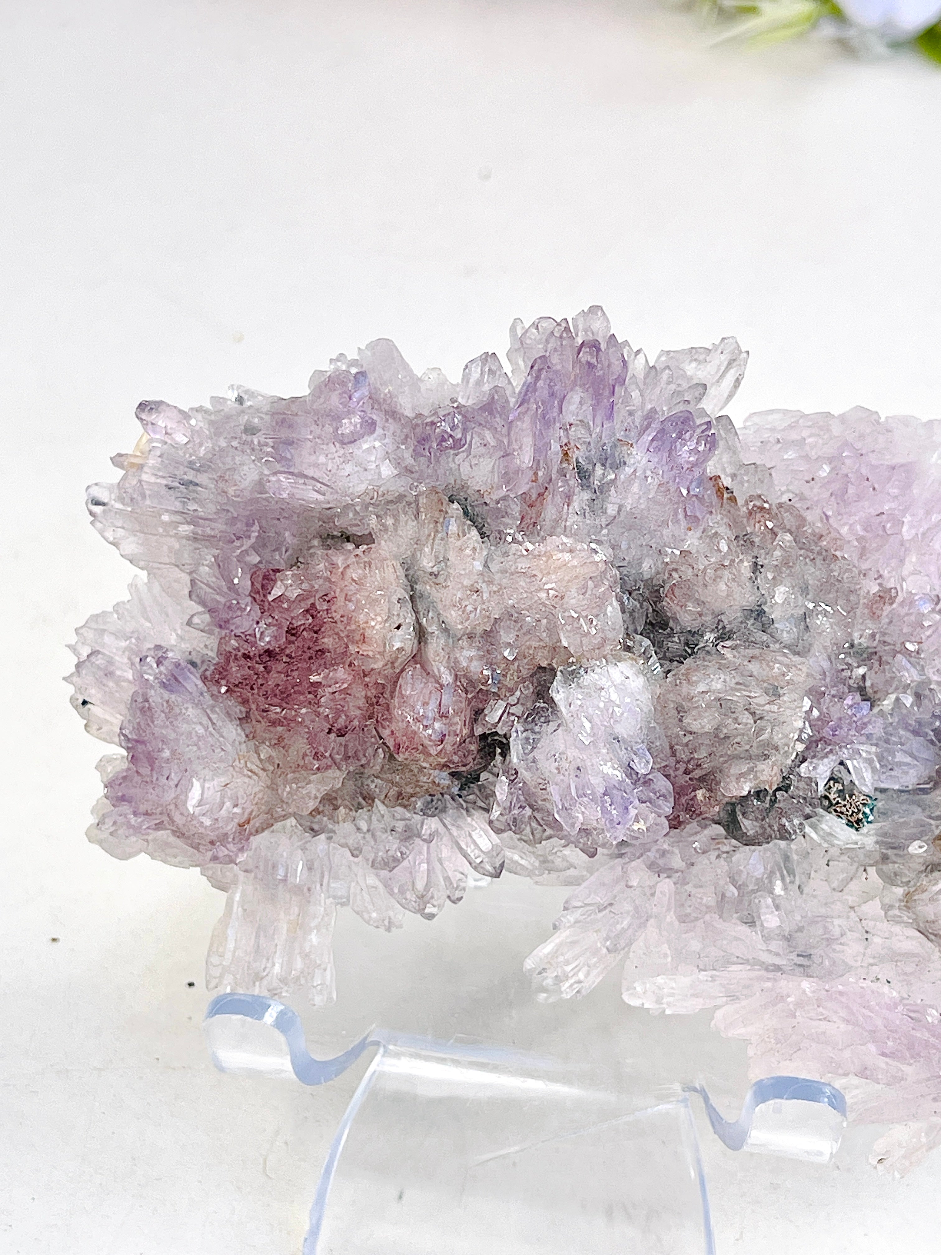 Rare Intact Amethyst "Flower" Formation | Delicate Brazilian Mineral Specimen