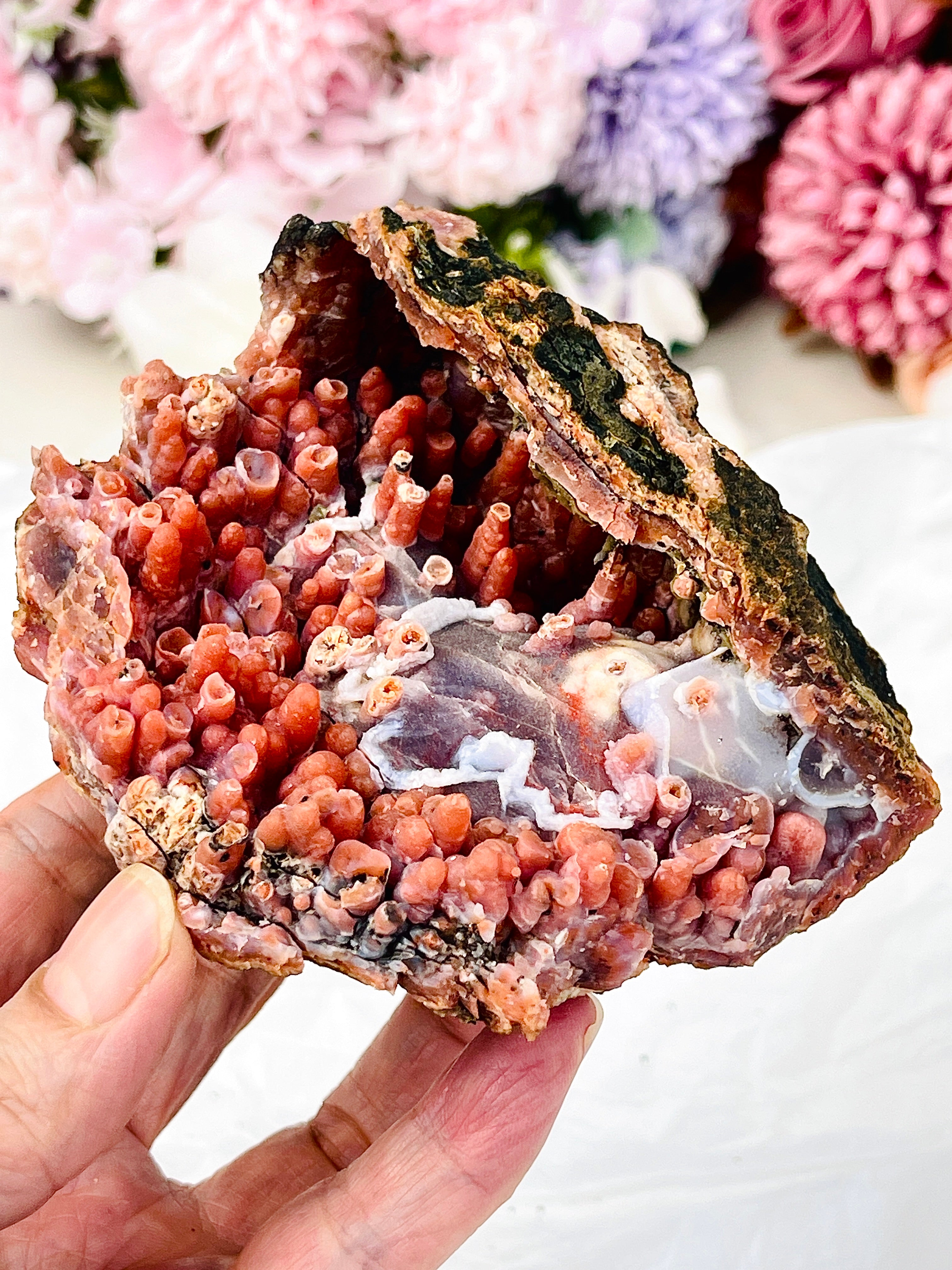 The "Forbidden Coral": Moroccan Red Chalcedony Geode