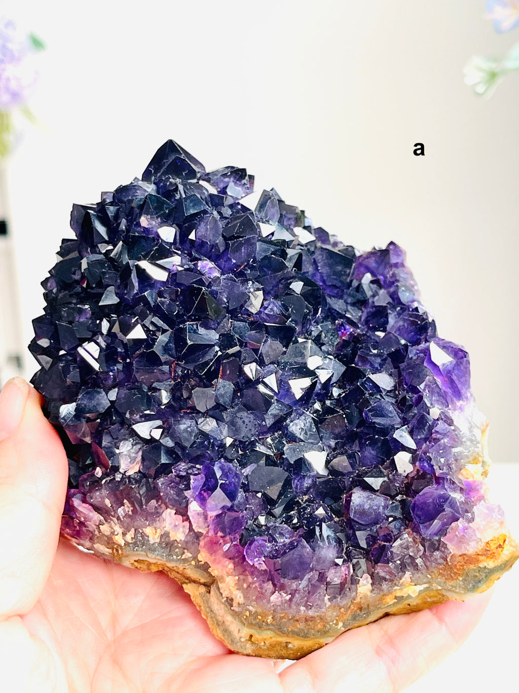 AAAAA+ Quality Uruguay Amethyst Rosette, Grape Jelly Amethyst Pine, Deep Purple Amethyst