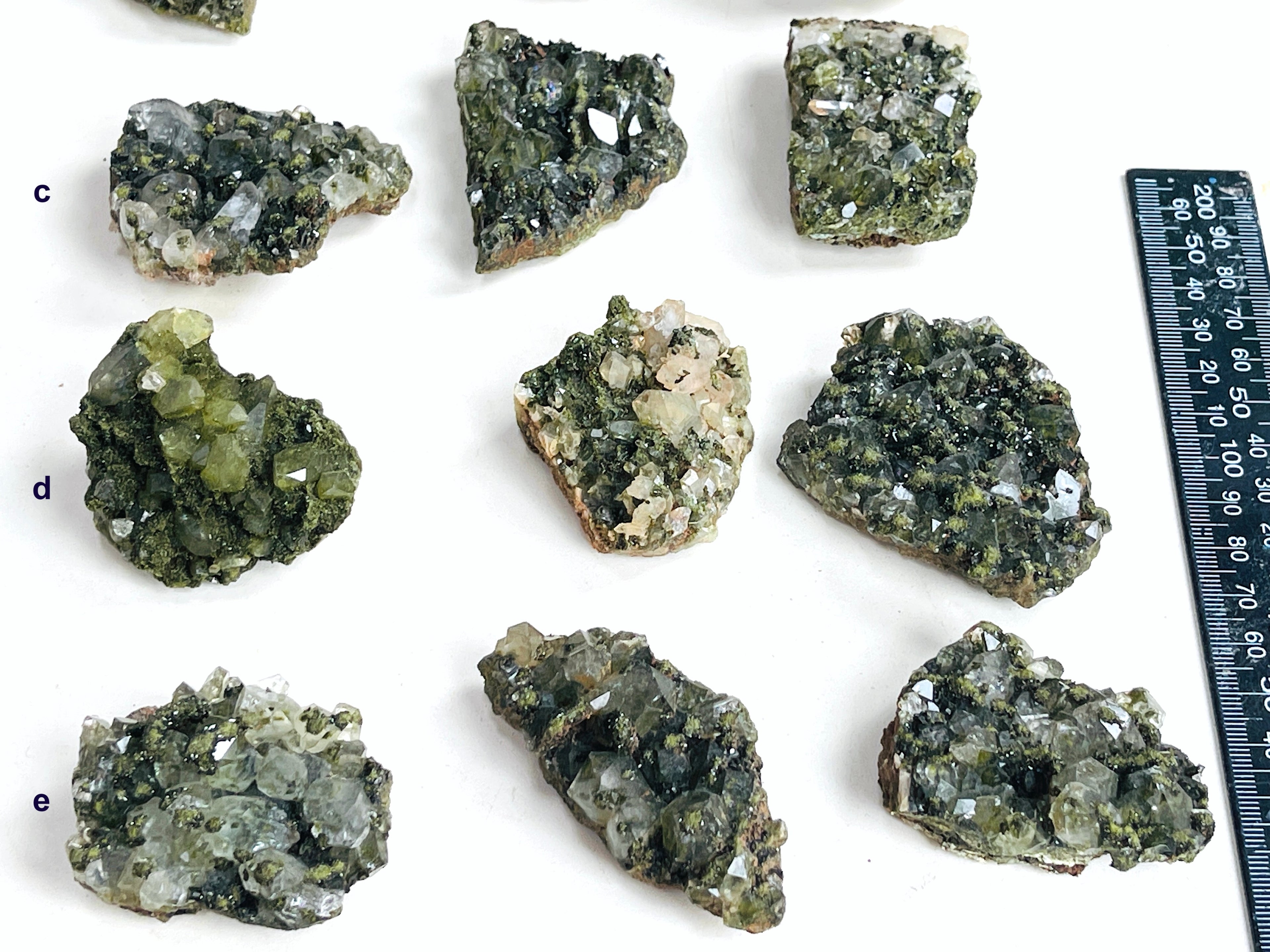 Forest Epidote with Quartz Specimen – Hakkari, Turkey
