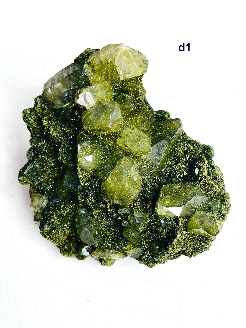 Forest Epidote with Quartz Specimen – Hakkari, Turkey