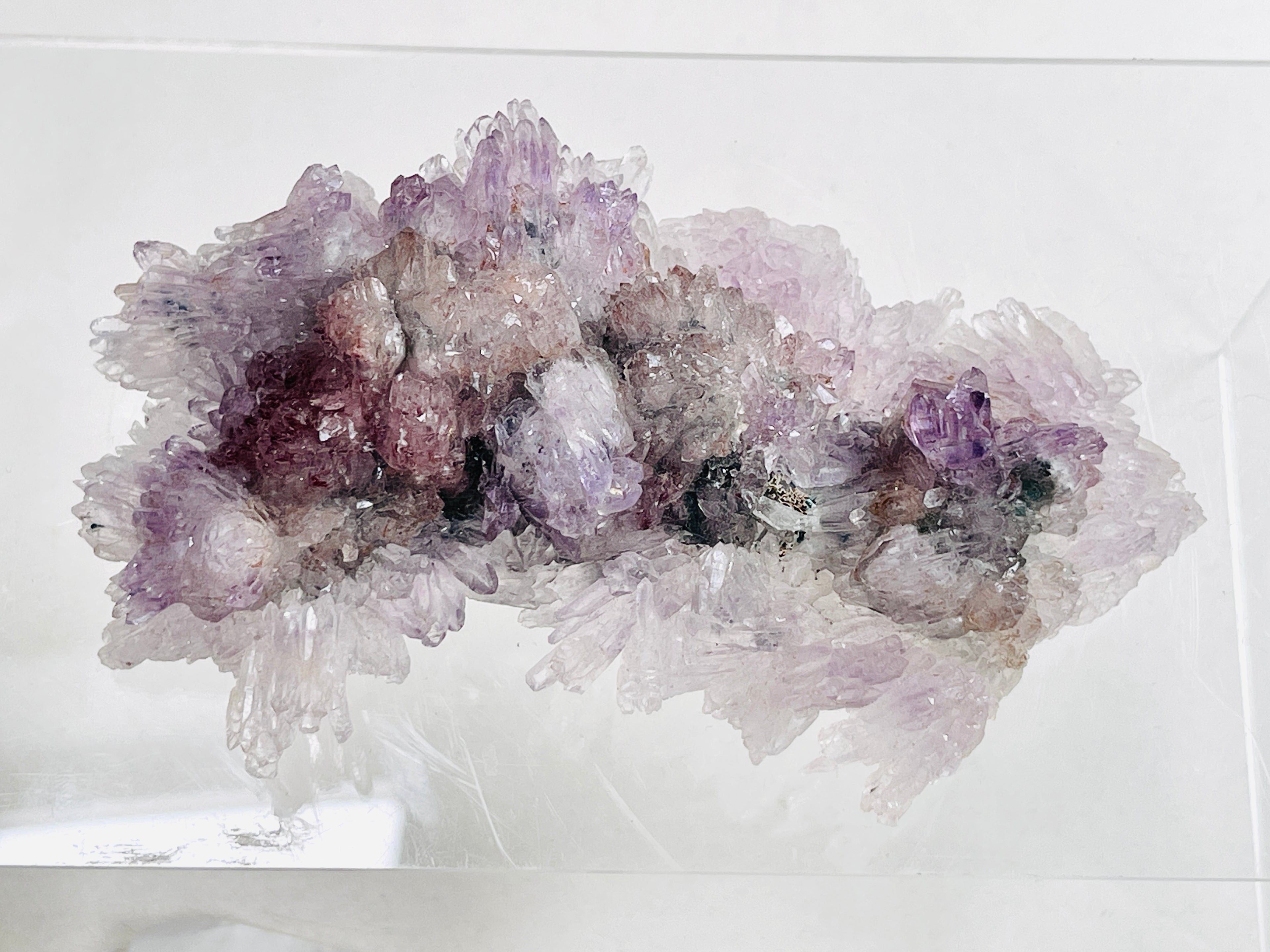 Rare Intact Amethyst "Flower" Formation | Delicate Brazilian Mineral Specimen