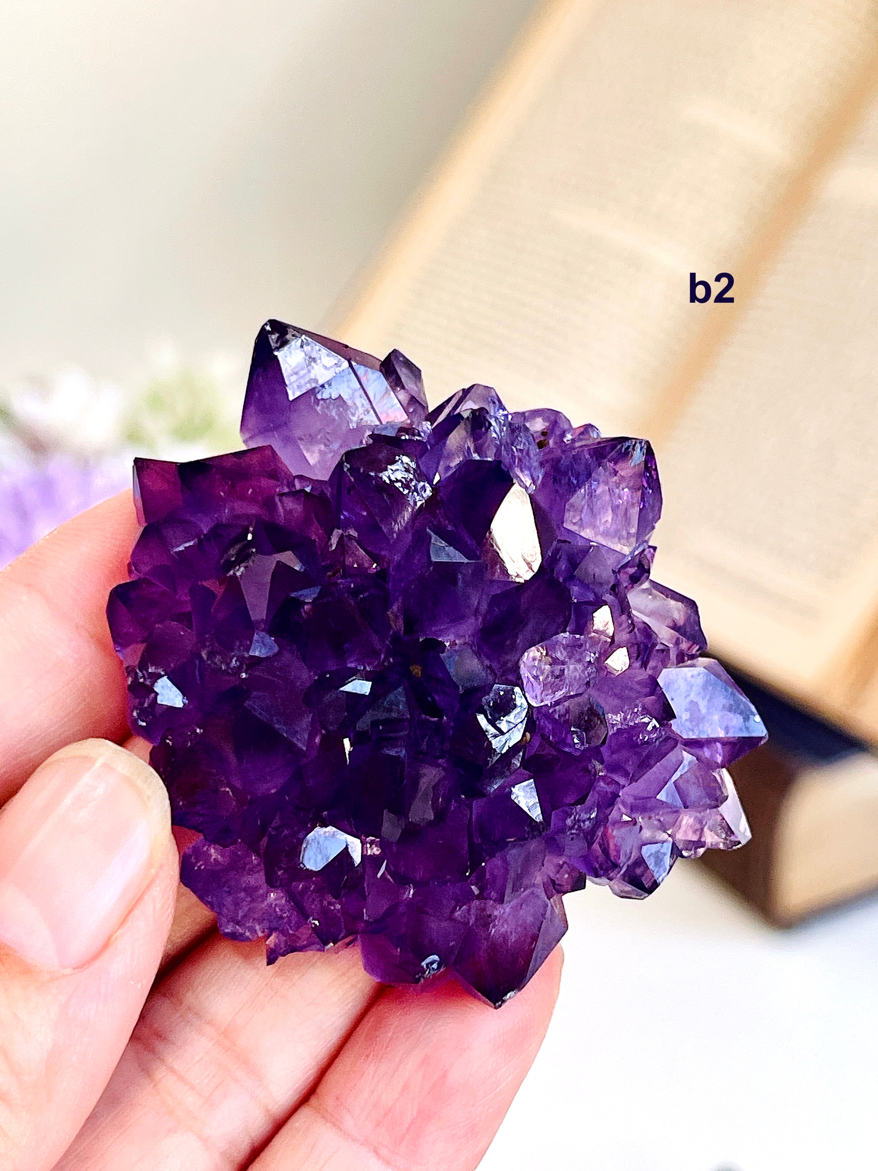AAAAA+ Uruguay Amethyst Rosette | Grape Jelly Deep Purple Amethyst Flower